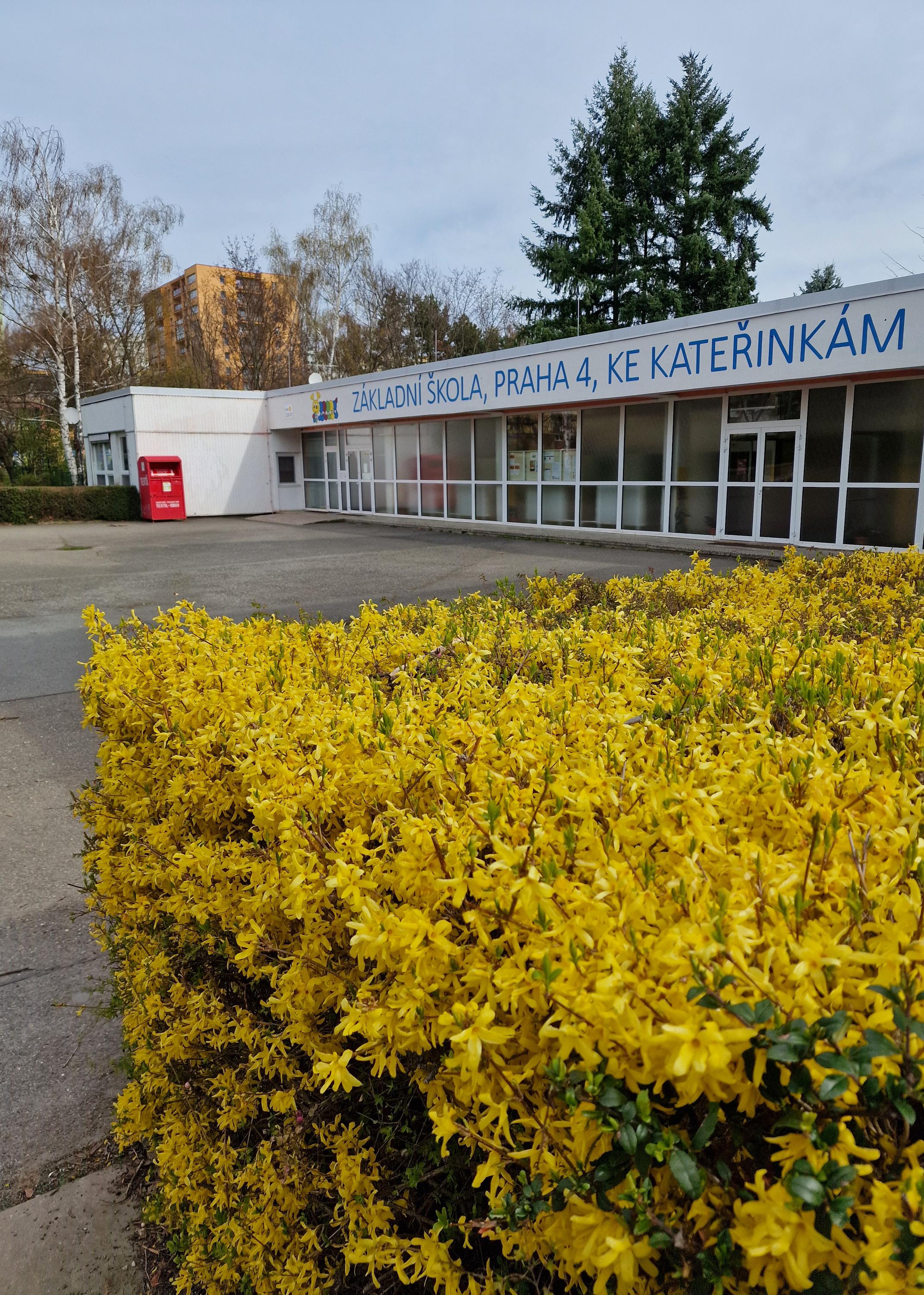 Základní škola, Praha 4, Ke Kateřinkám 1400 foto 4
