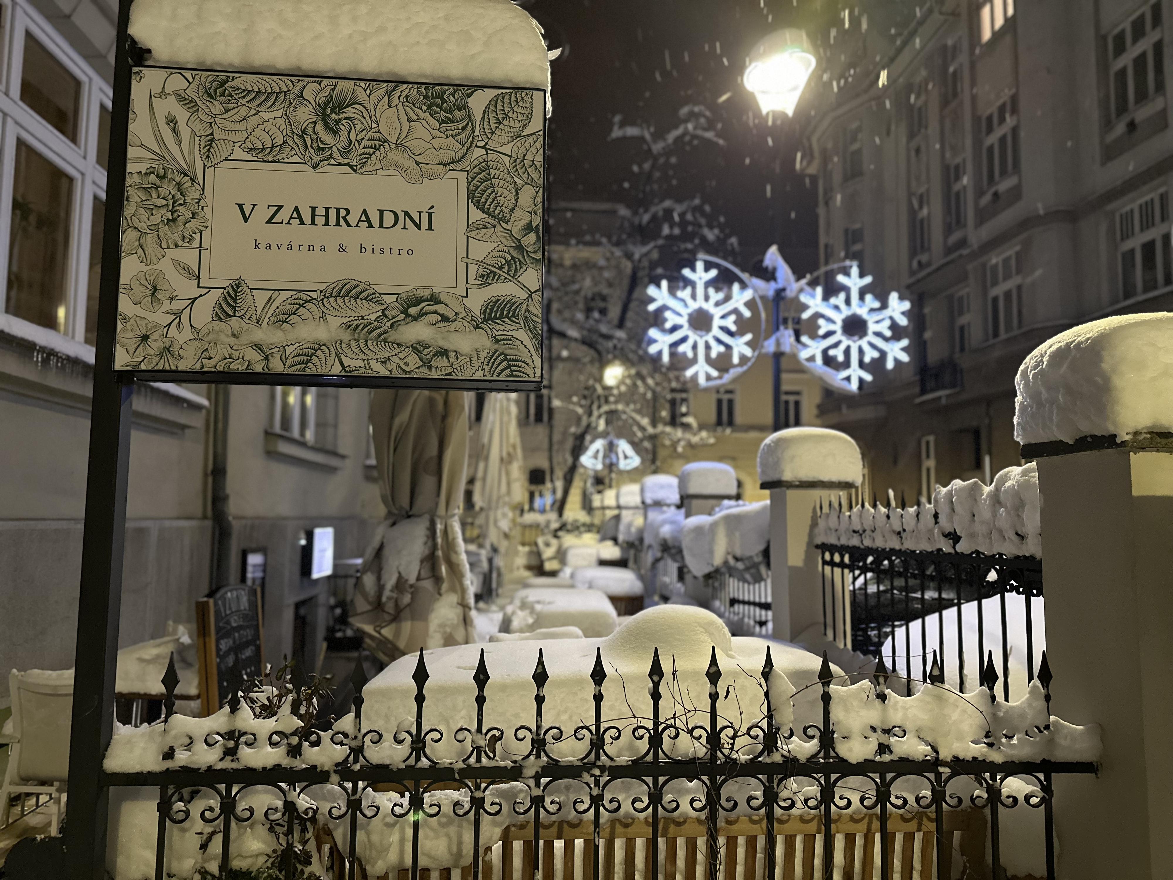 V Zahradní kavárna a bistro foto 3