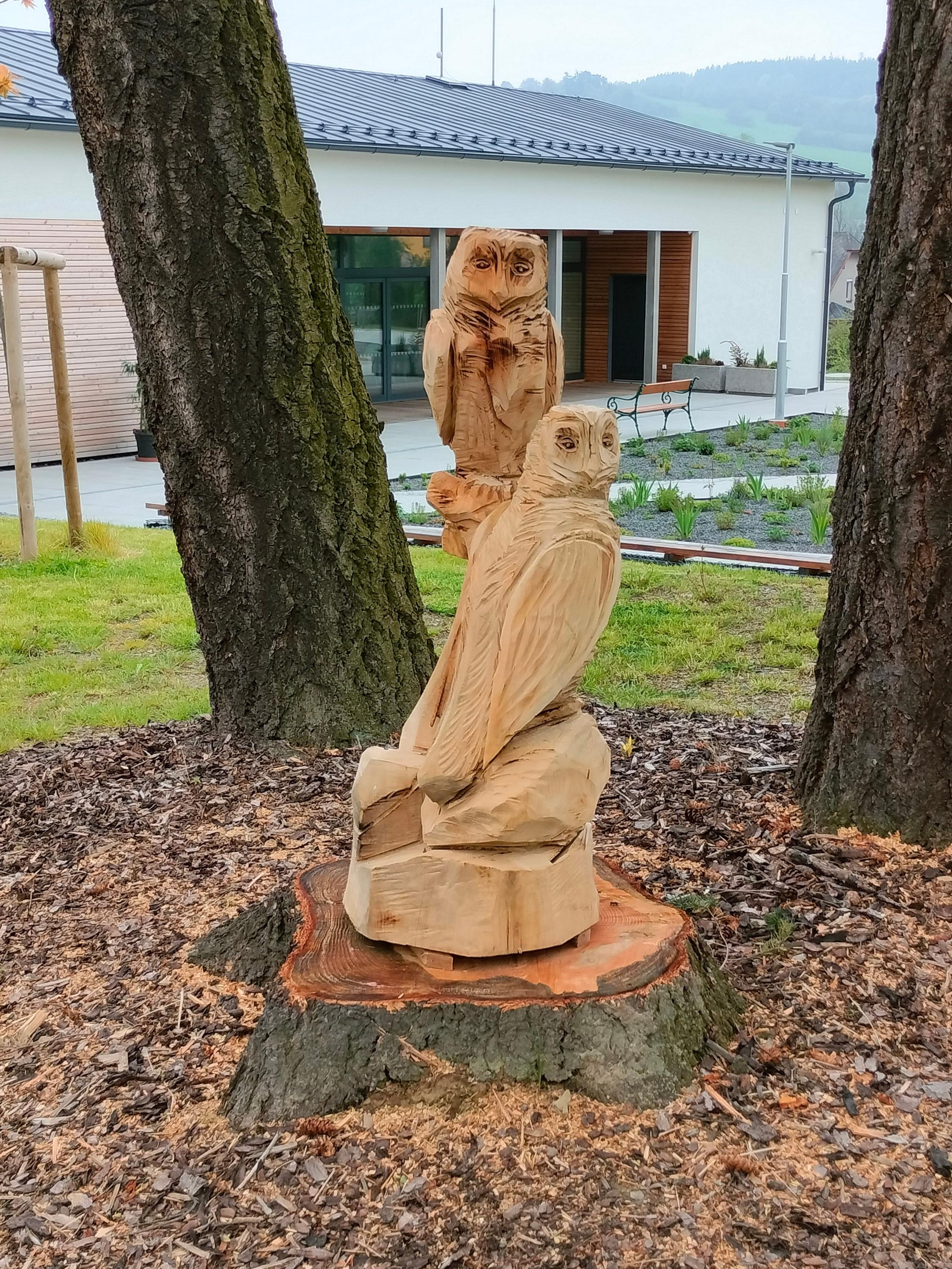 Domov Letokruhy foto 4