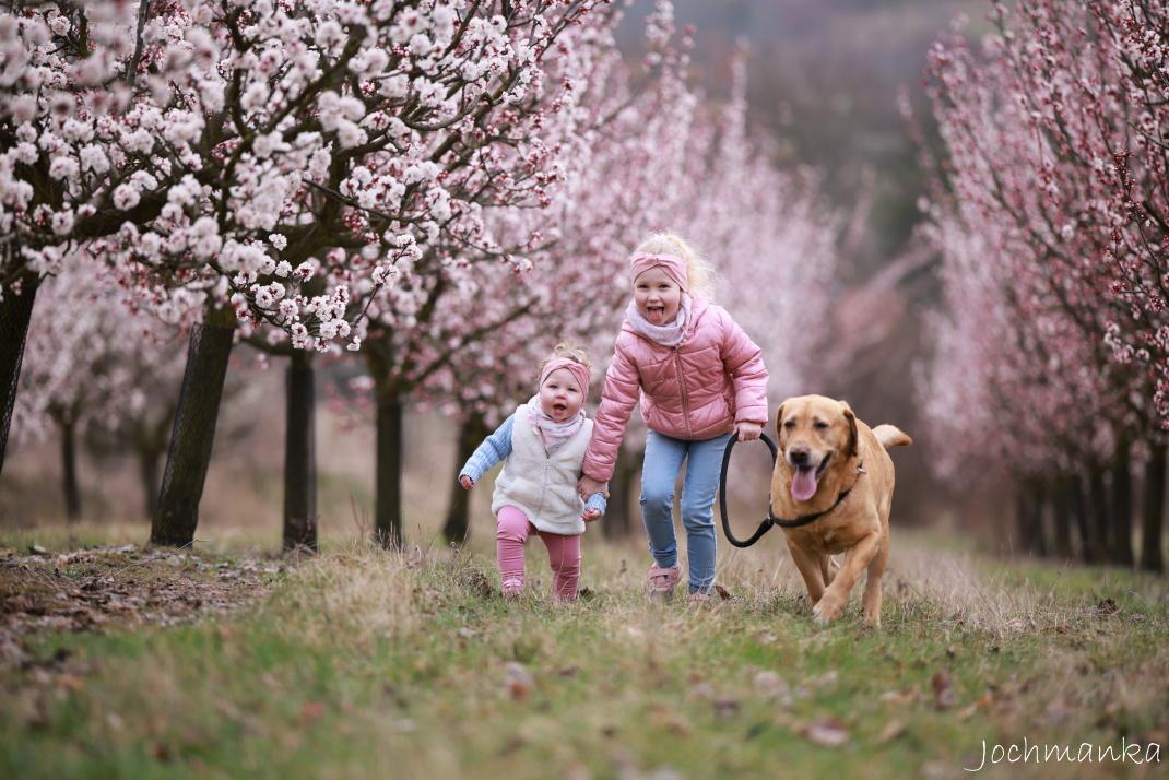 Jochmanka-fotografka Slaný foto 3