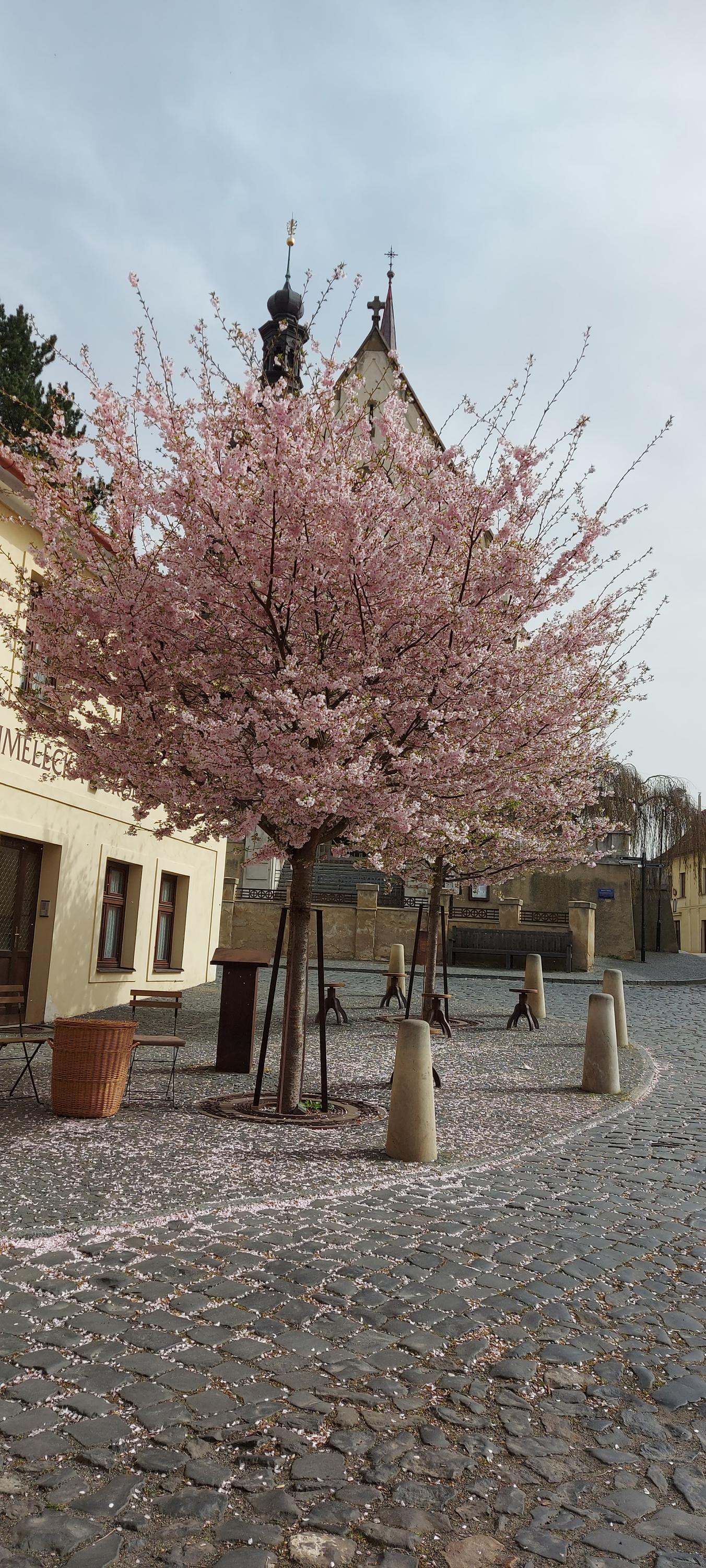 Perníkárna PerníKáča foto 6