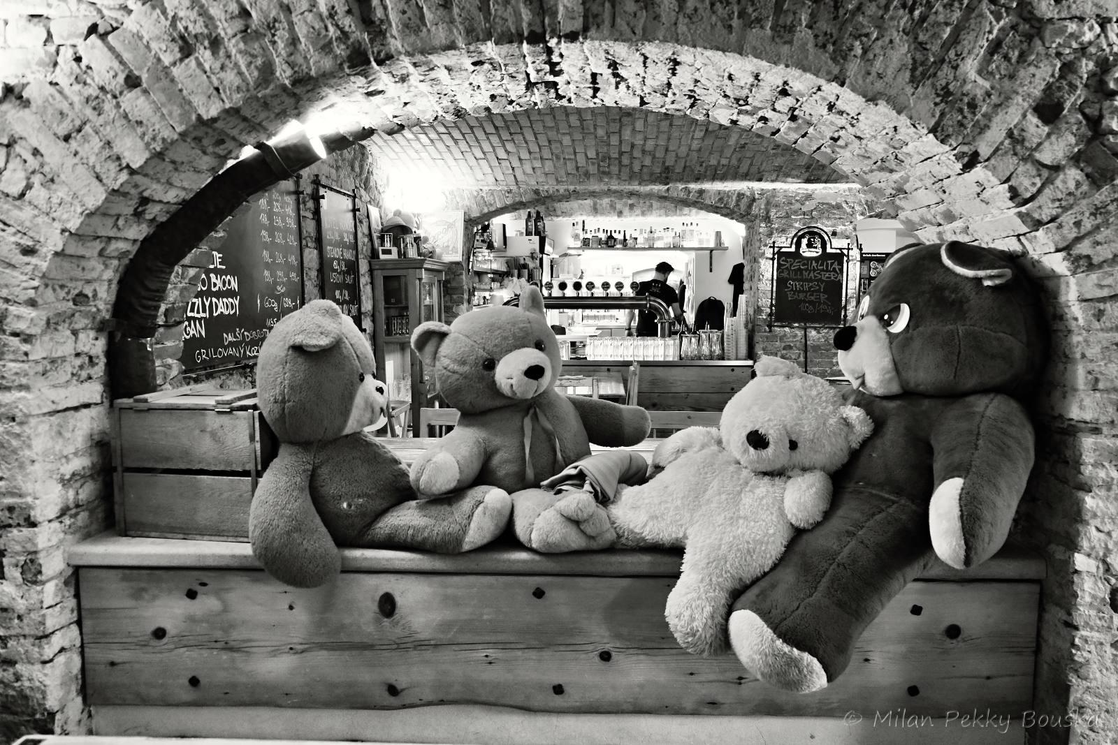 Němý Medvěd Burger & Beer Bar foto 5