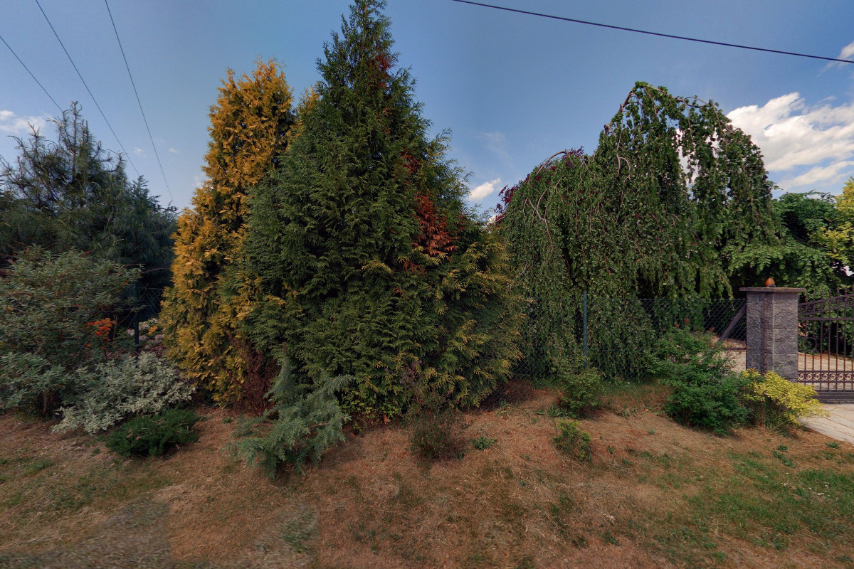 Jarmila Ciprová realitní služby