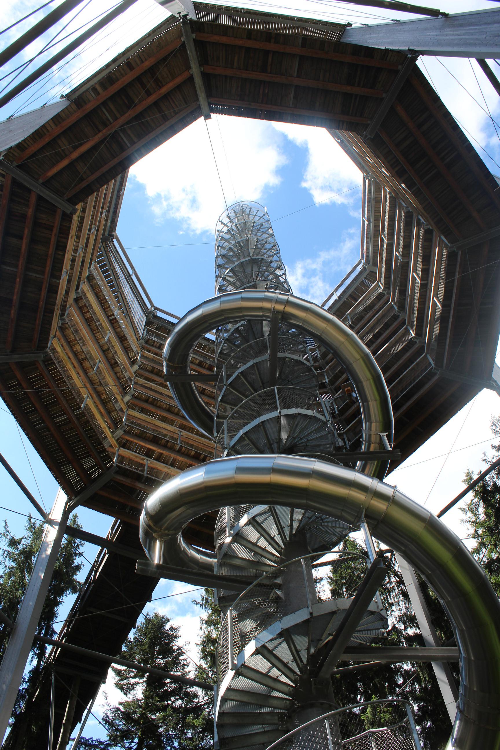 Stezka korunami stromů foto 1