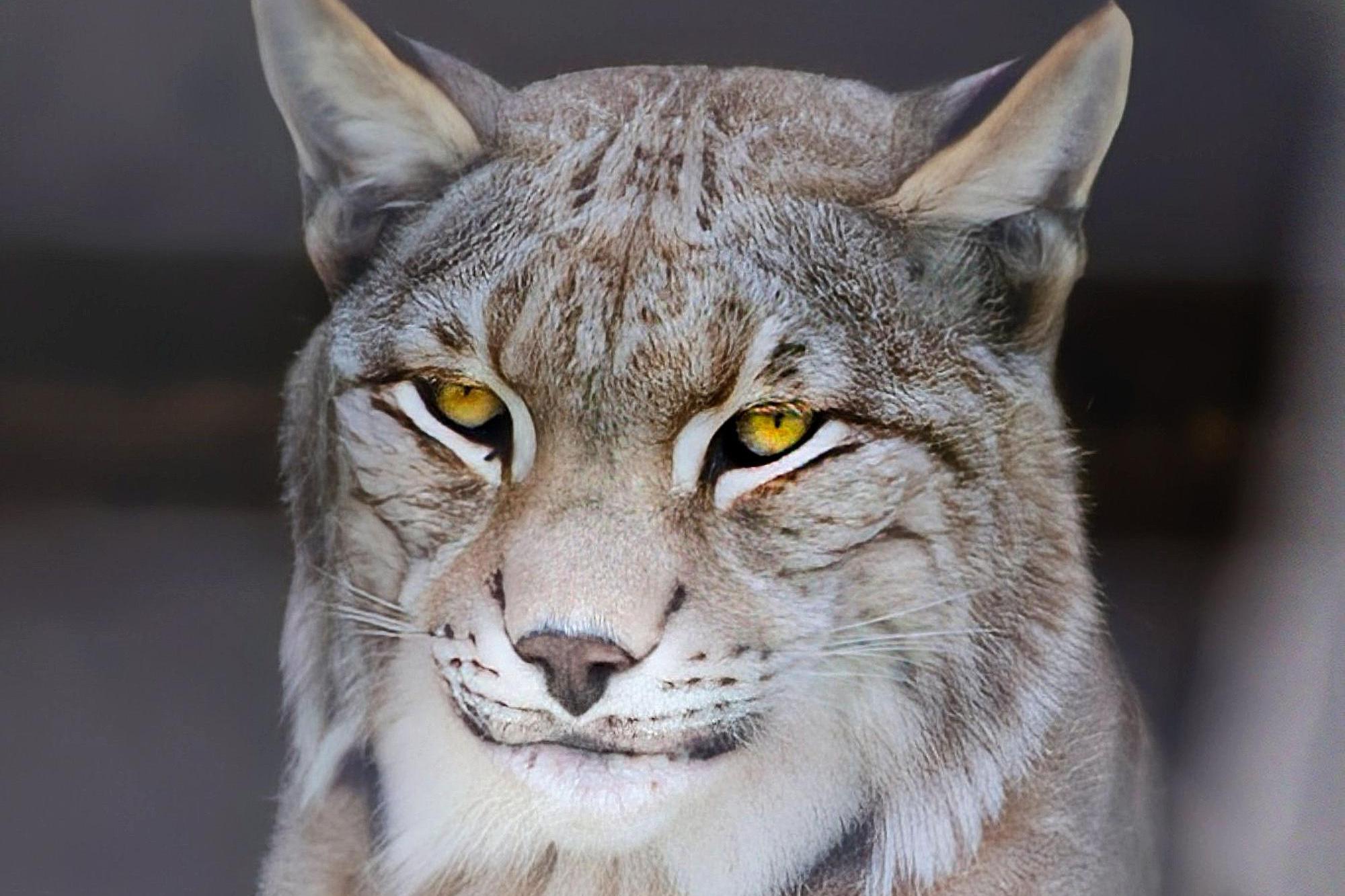 ZOO Faunapark foto 2