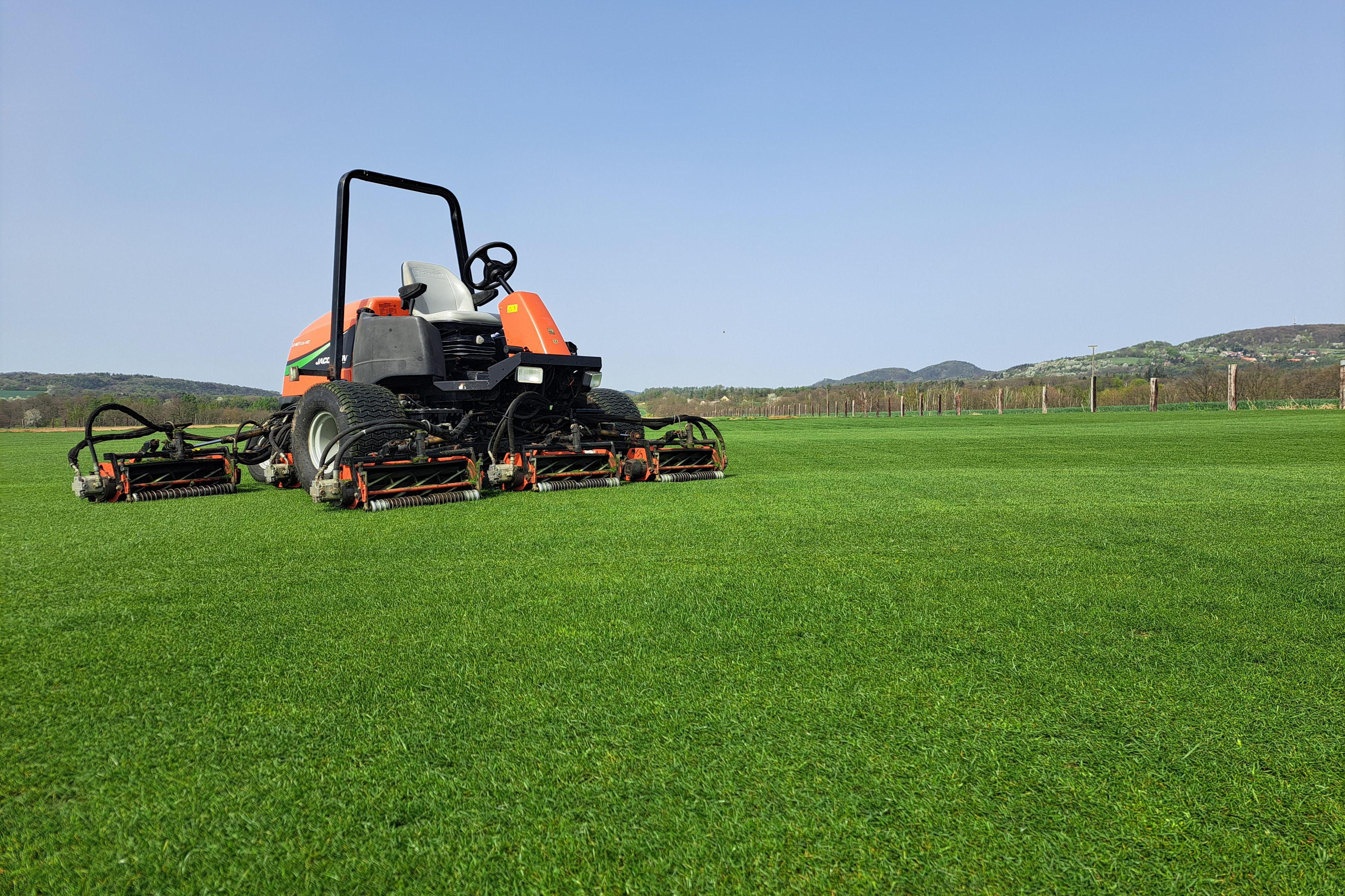 Travní koberce - Petr Mareček