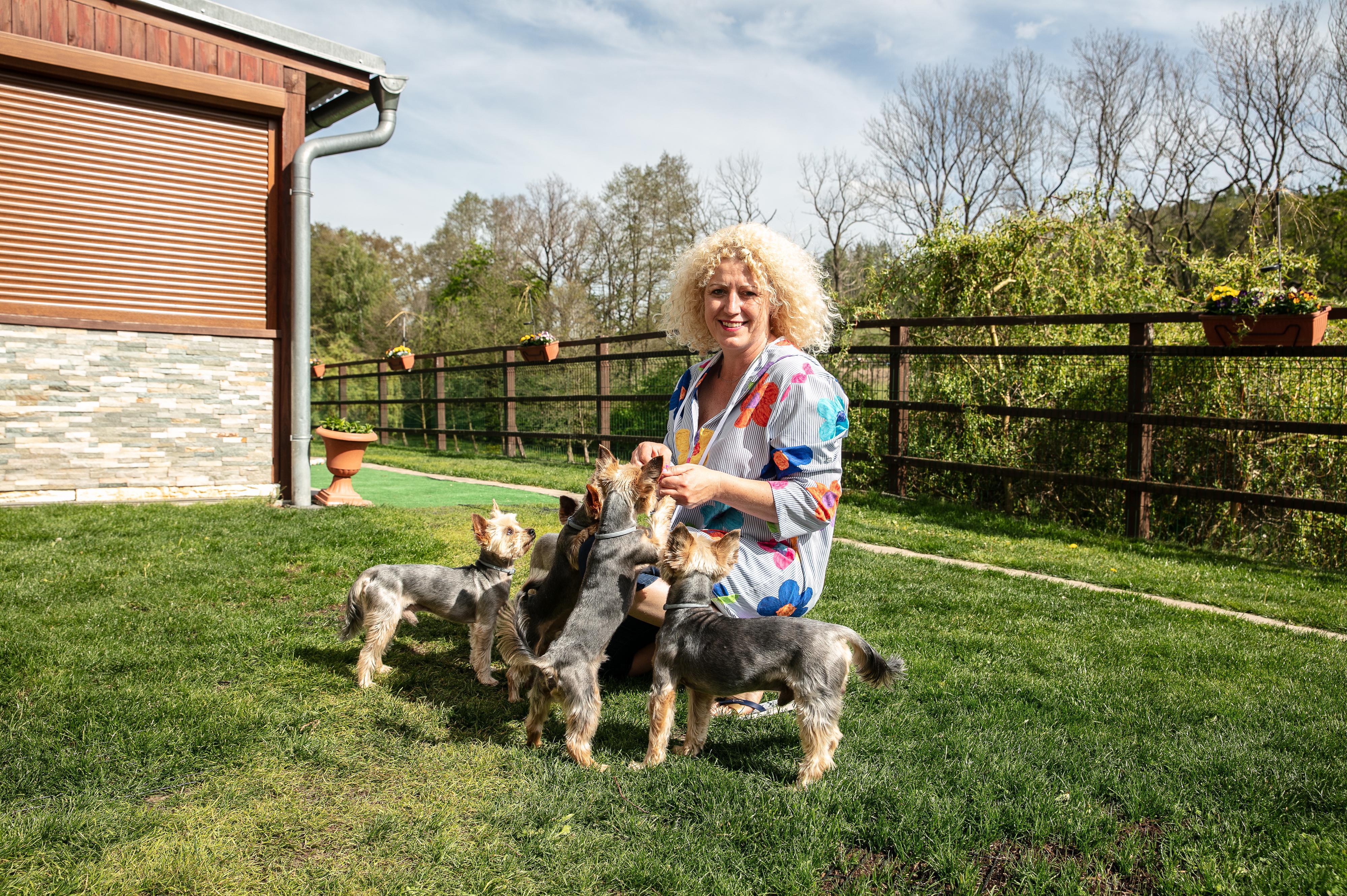 TLAPKOLAND - Psí hotel a školka