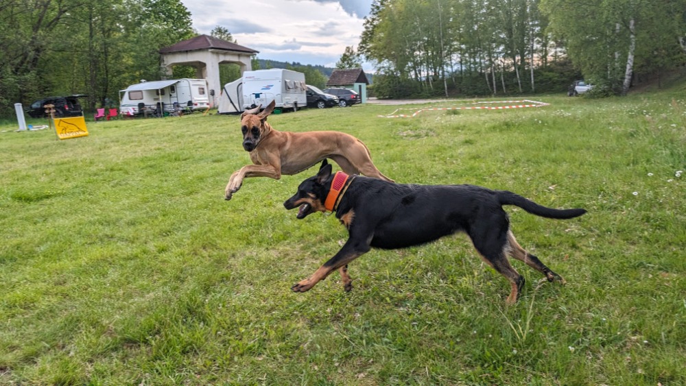 Autokemp Žíchovec foto 4