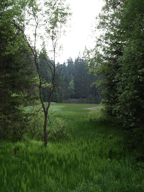 Sportovní areál Eduard foto 3