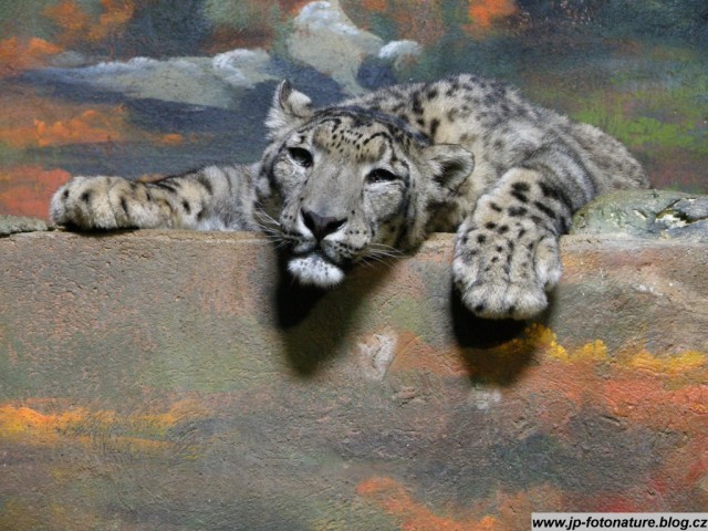 Zoologická zahrada Ústí nad Labem foto 3