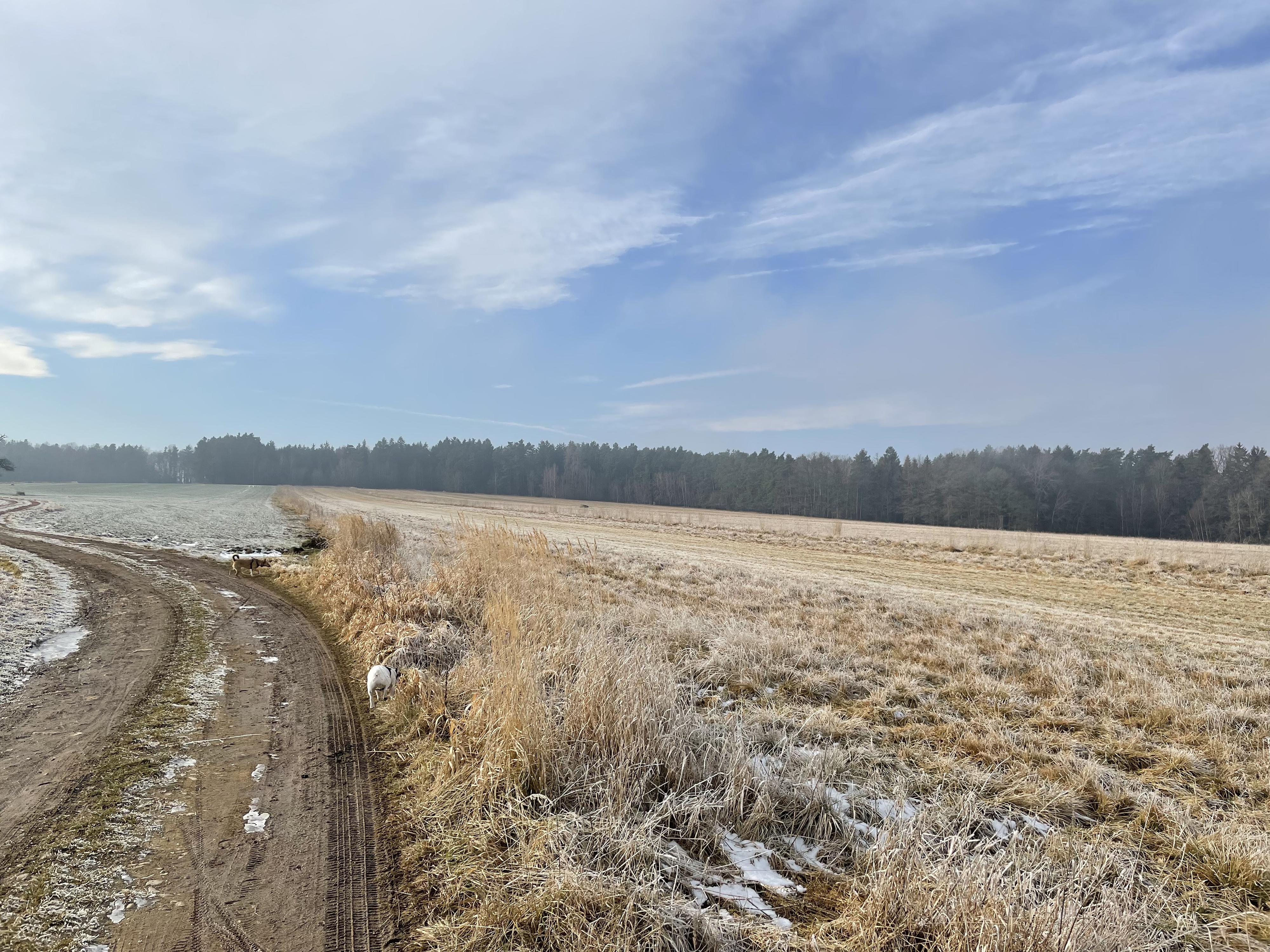 Letiště Doudleby foto 5