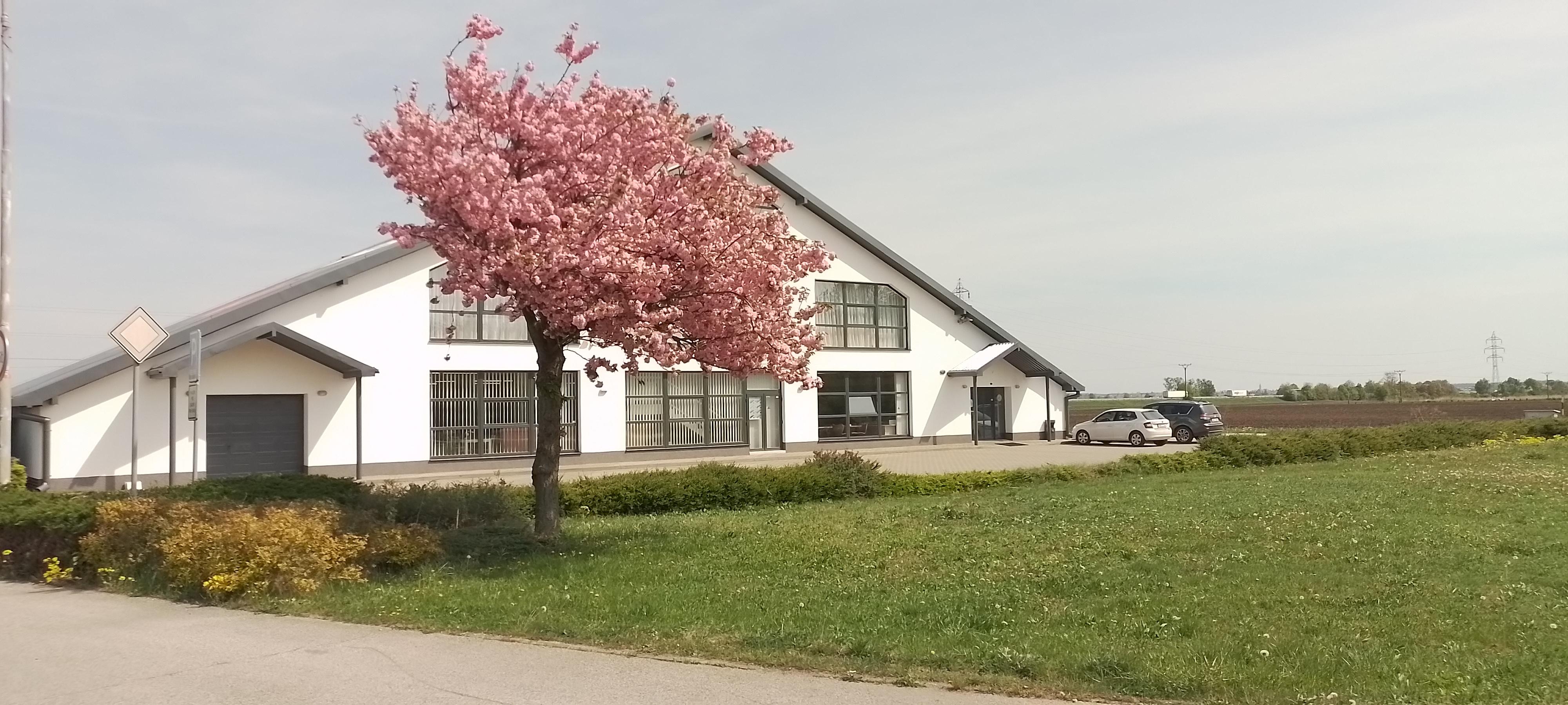 IKa nábytek Rakvice foto 4