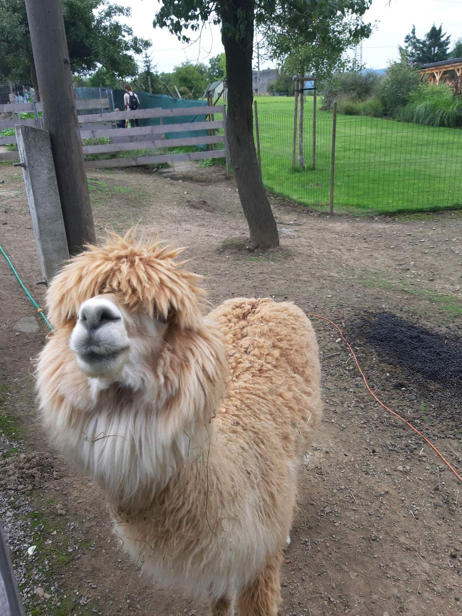 minizoo Vendryně foto 5