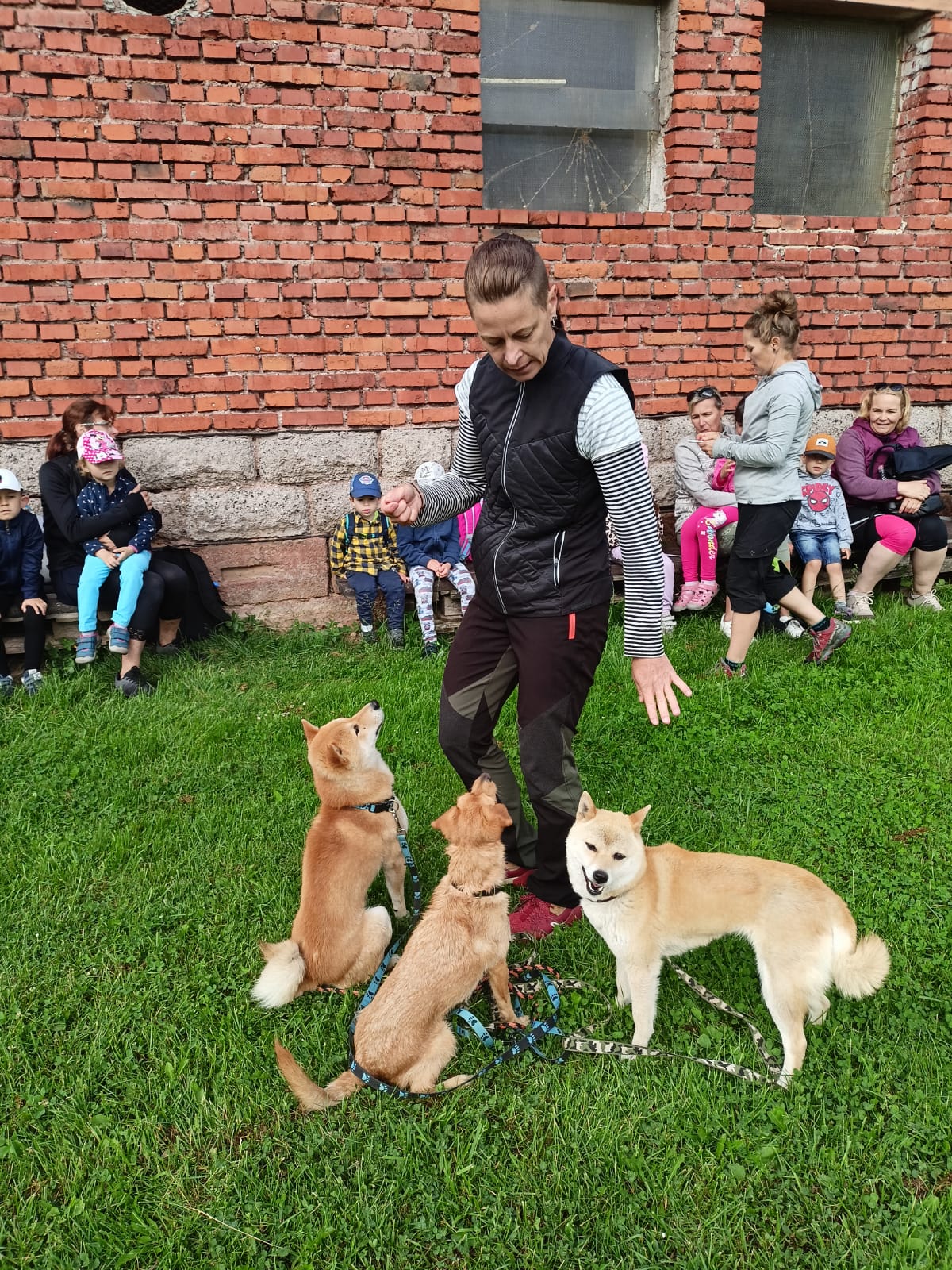 Iveta Kutková - výcvik psů, agility foto 2
