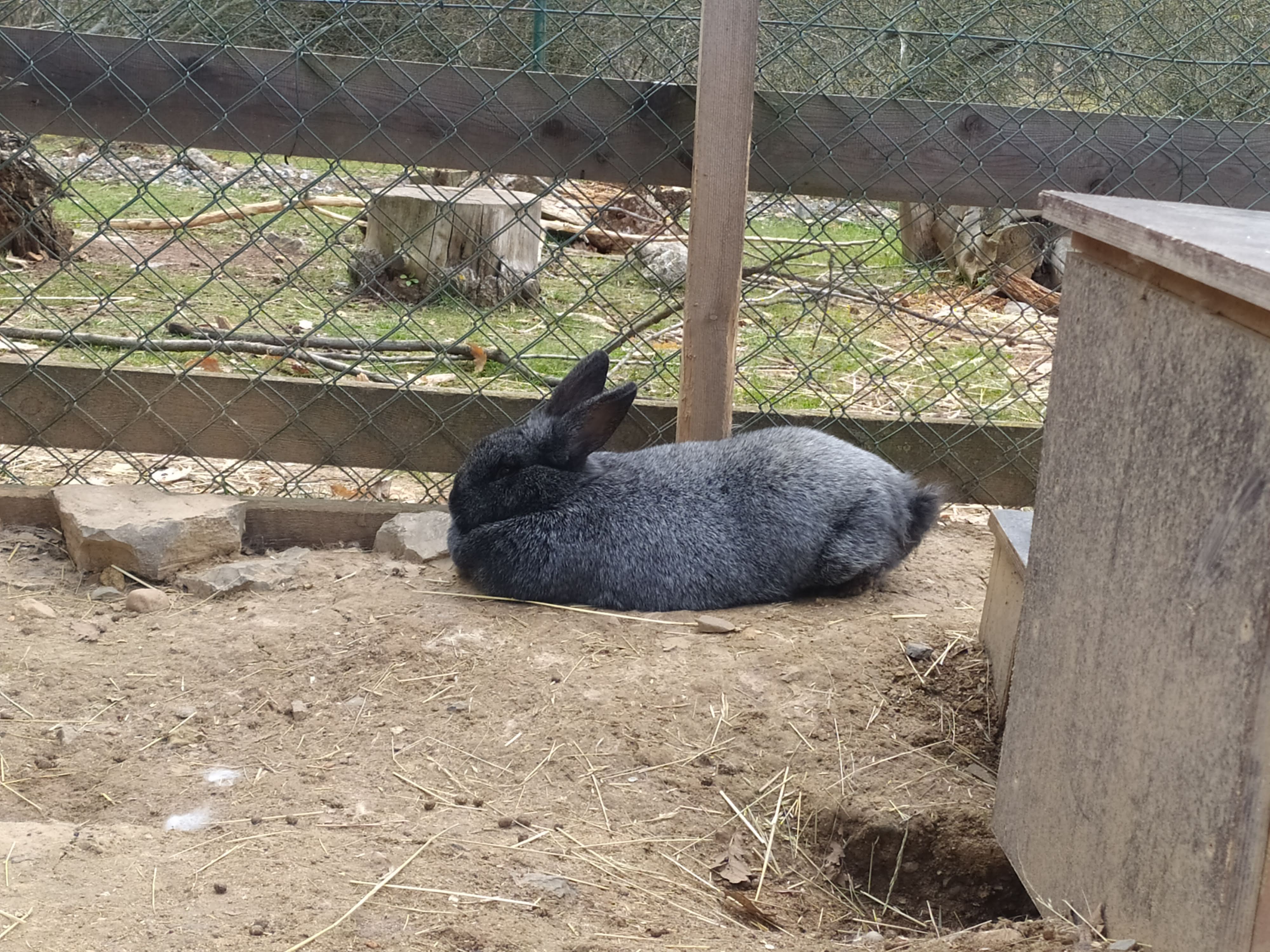 Lamacentrum Hády foto 6