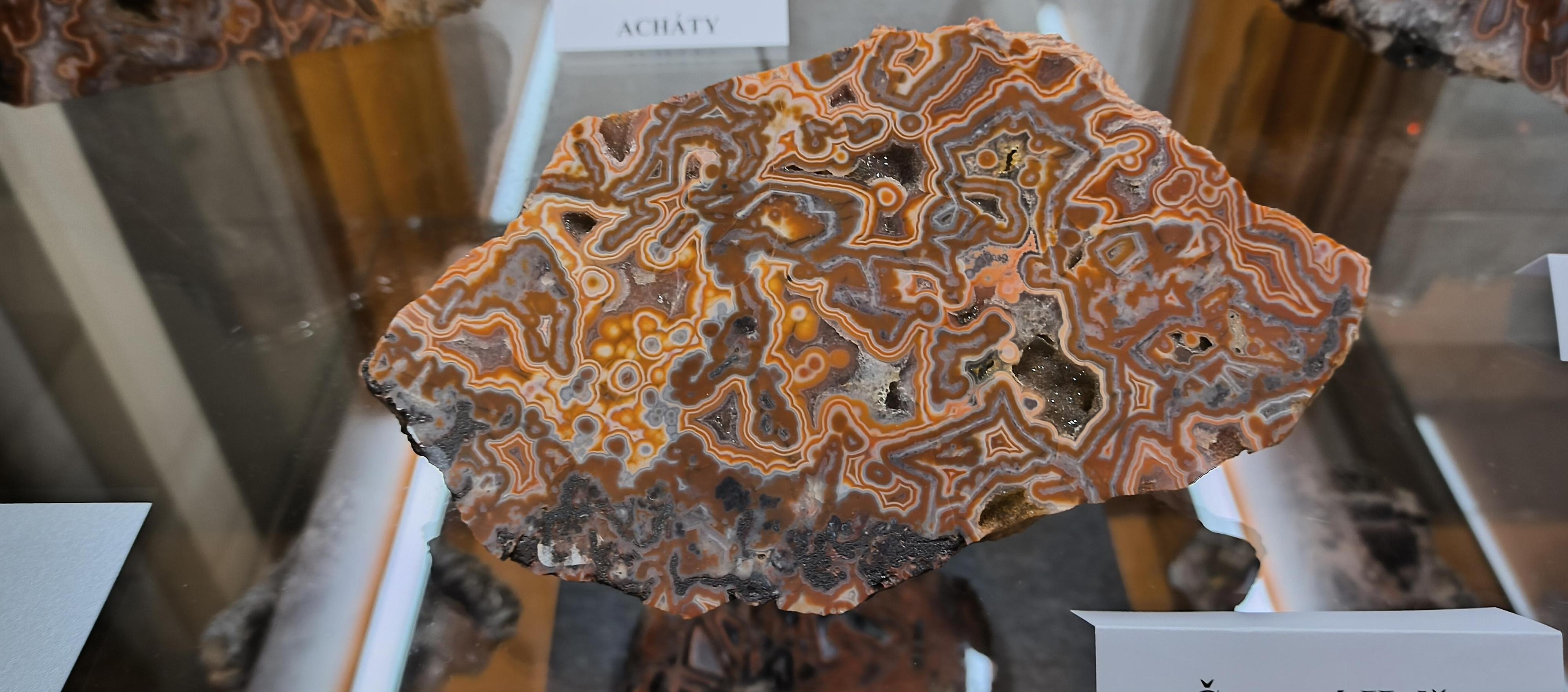 Městské muzeum a galerie Lomnice nad Popelkou foto 4