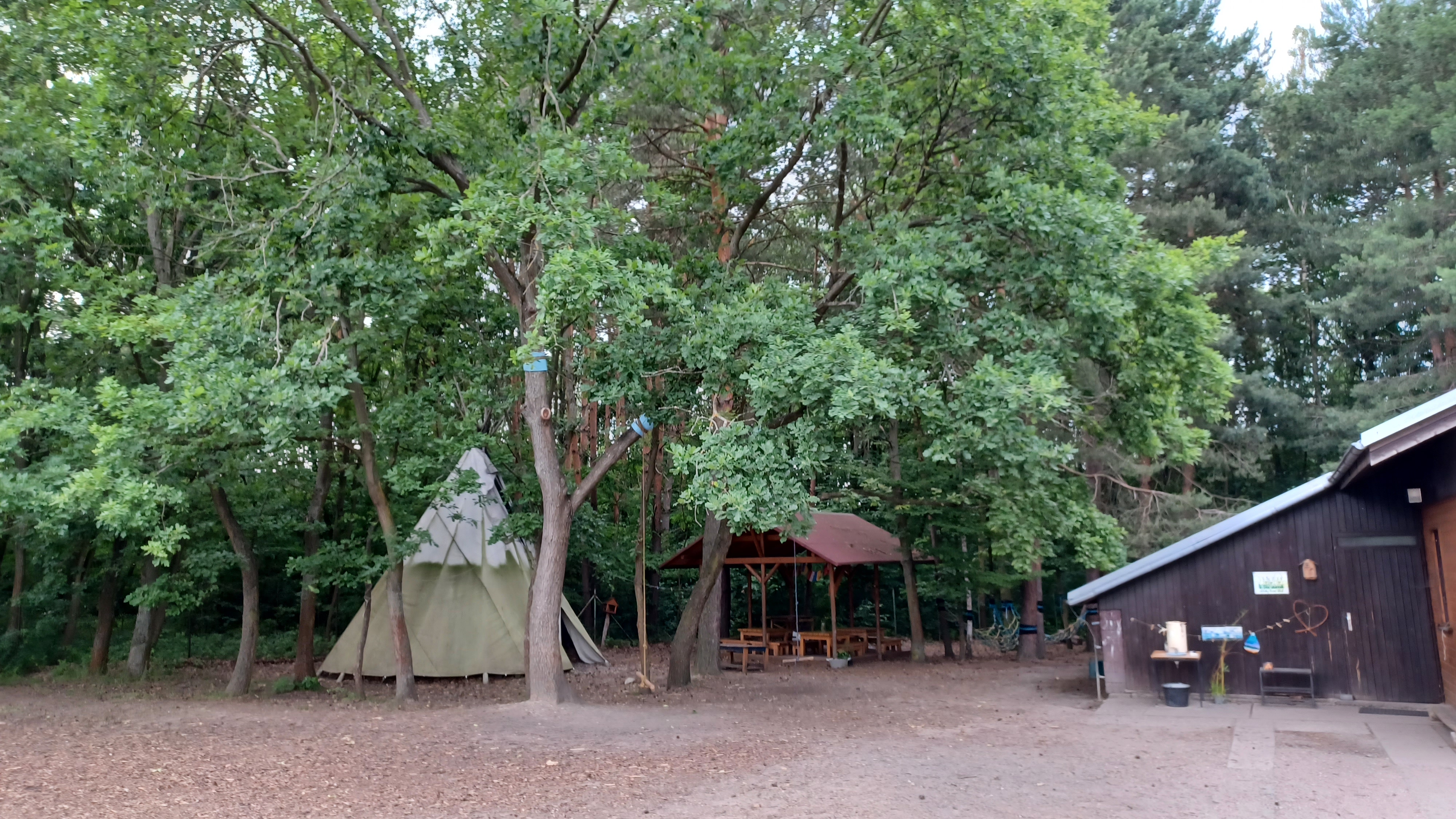 Dětský lesní klub U Tří veverek