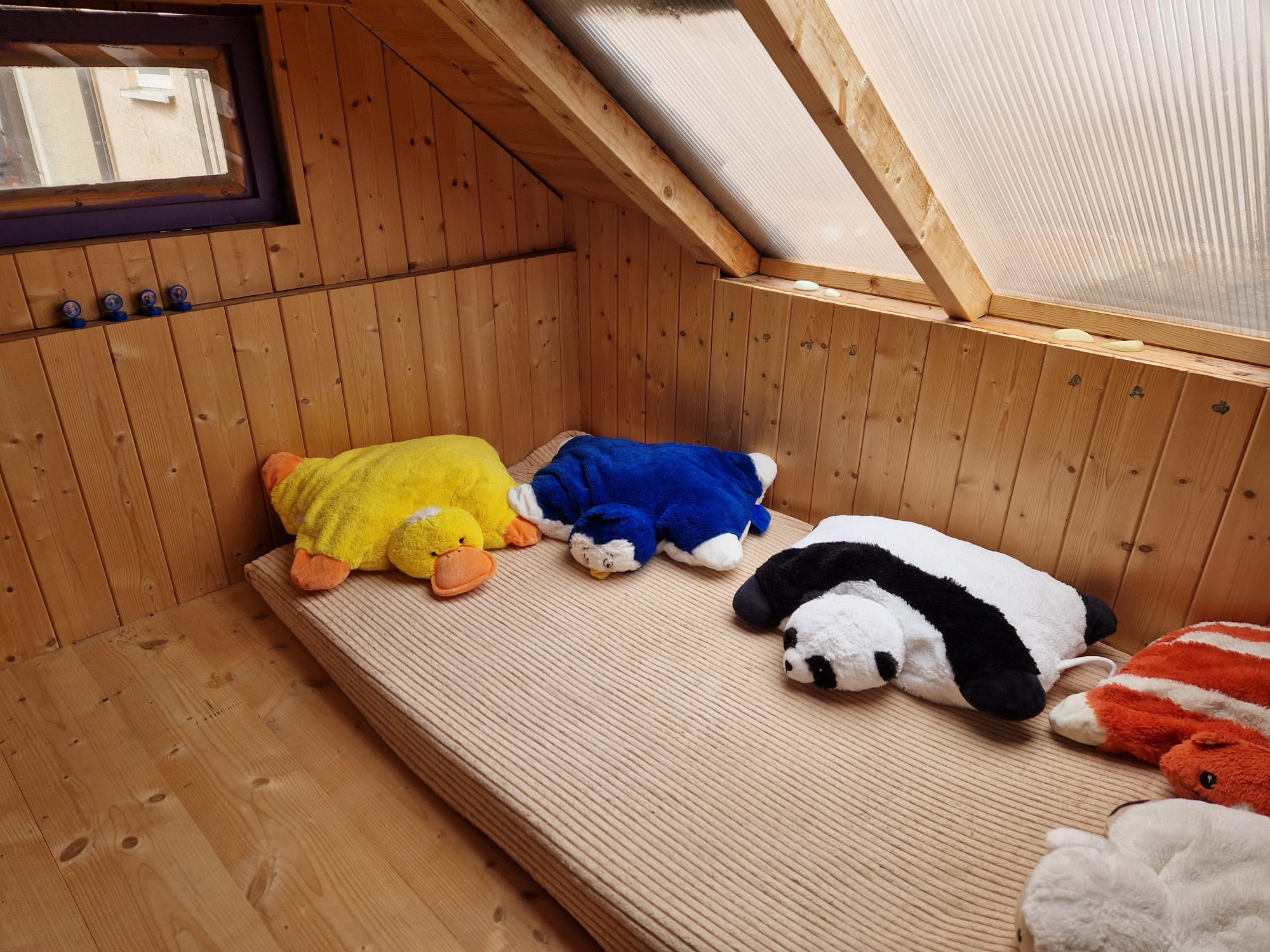 Dřevo Múčka foto 3