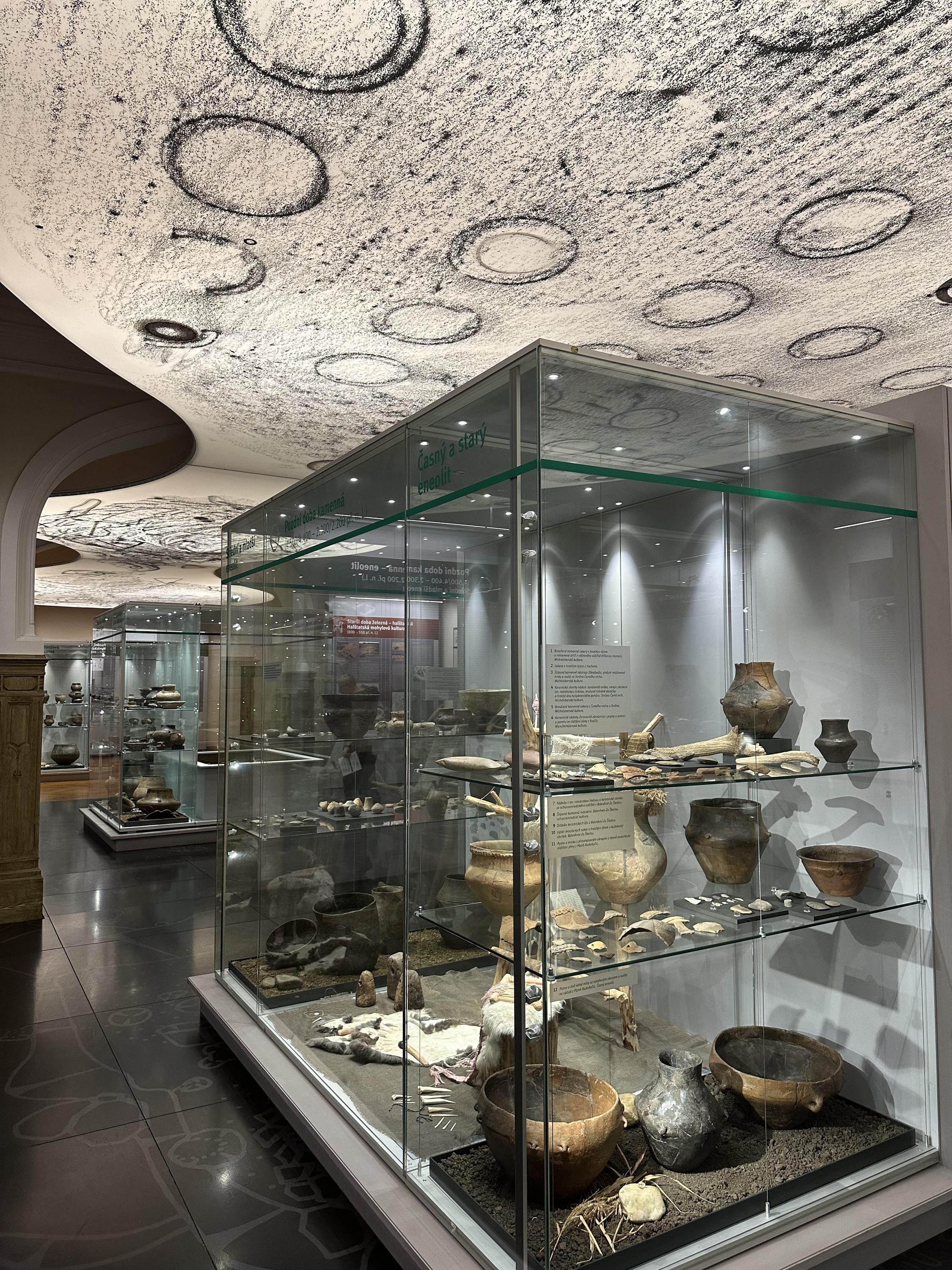 Západočeské muzeum v Plzni, příspěvková organizace foto 4