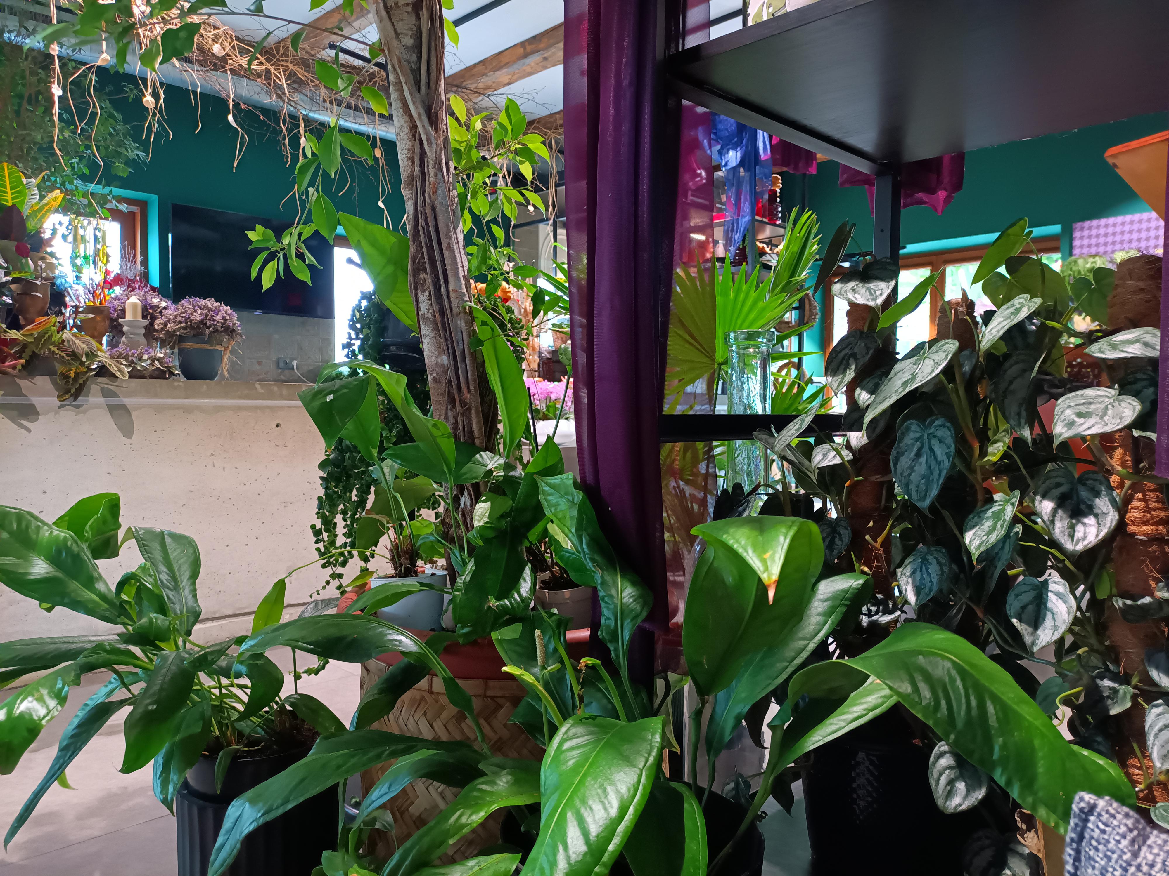 Floral Garden & Bar foto 2