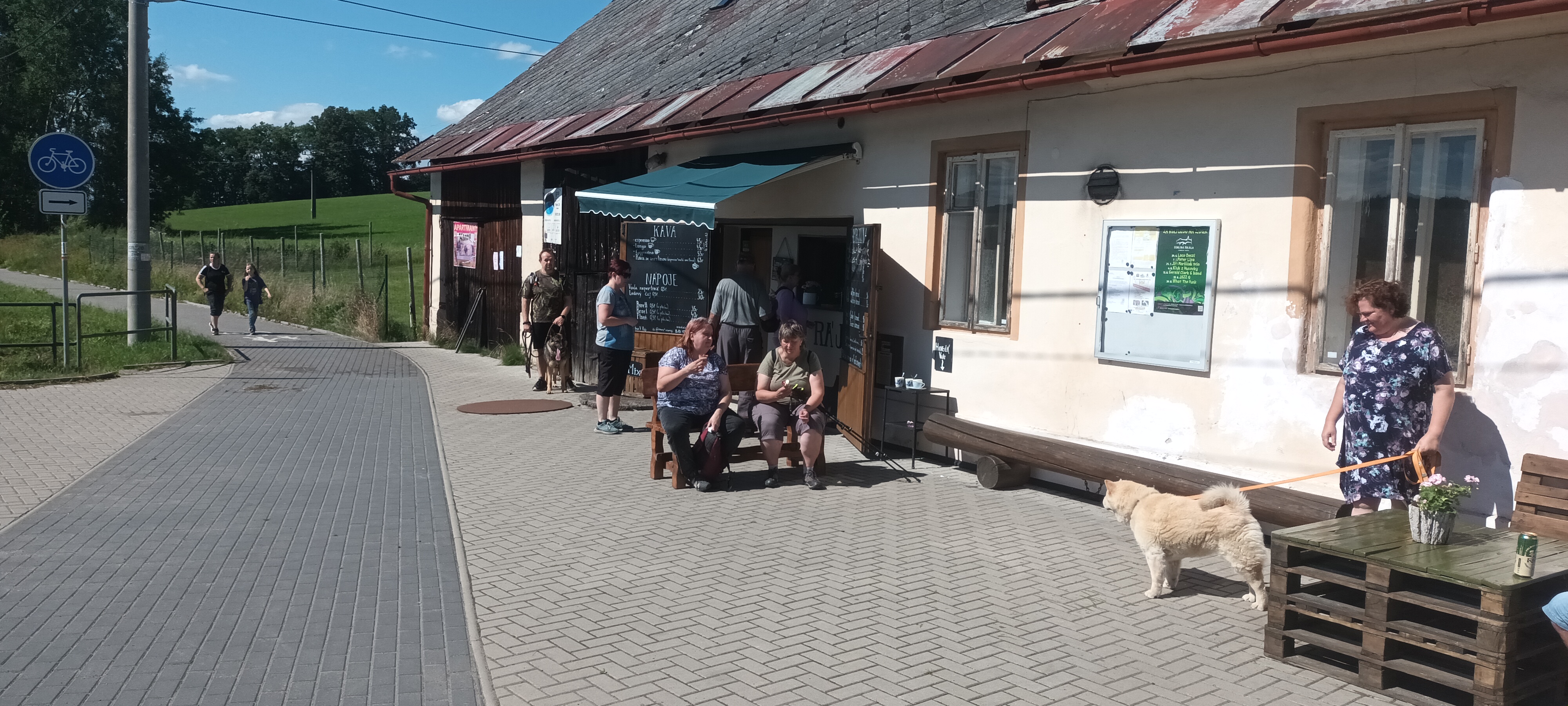 Zmrzlina V ráji foto 2