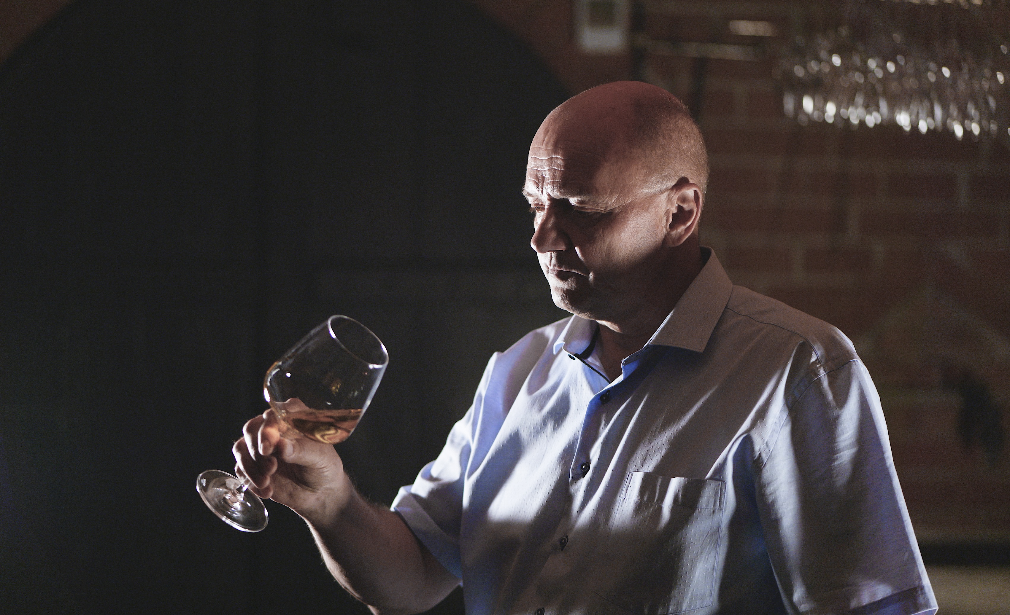 Vinařství Dvořáček LTM, s.r.o. foto 4