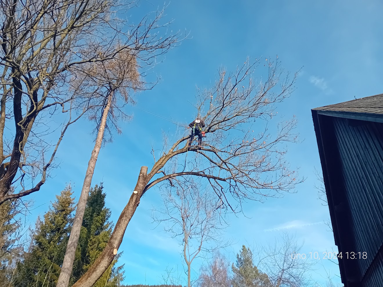 Práce Strnad foto 5