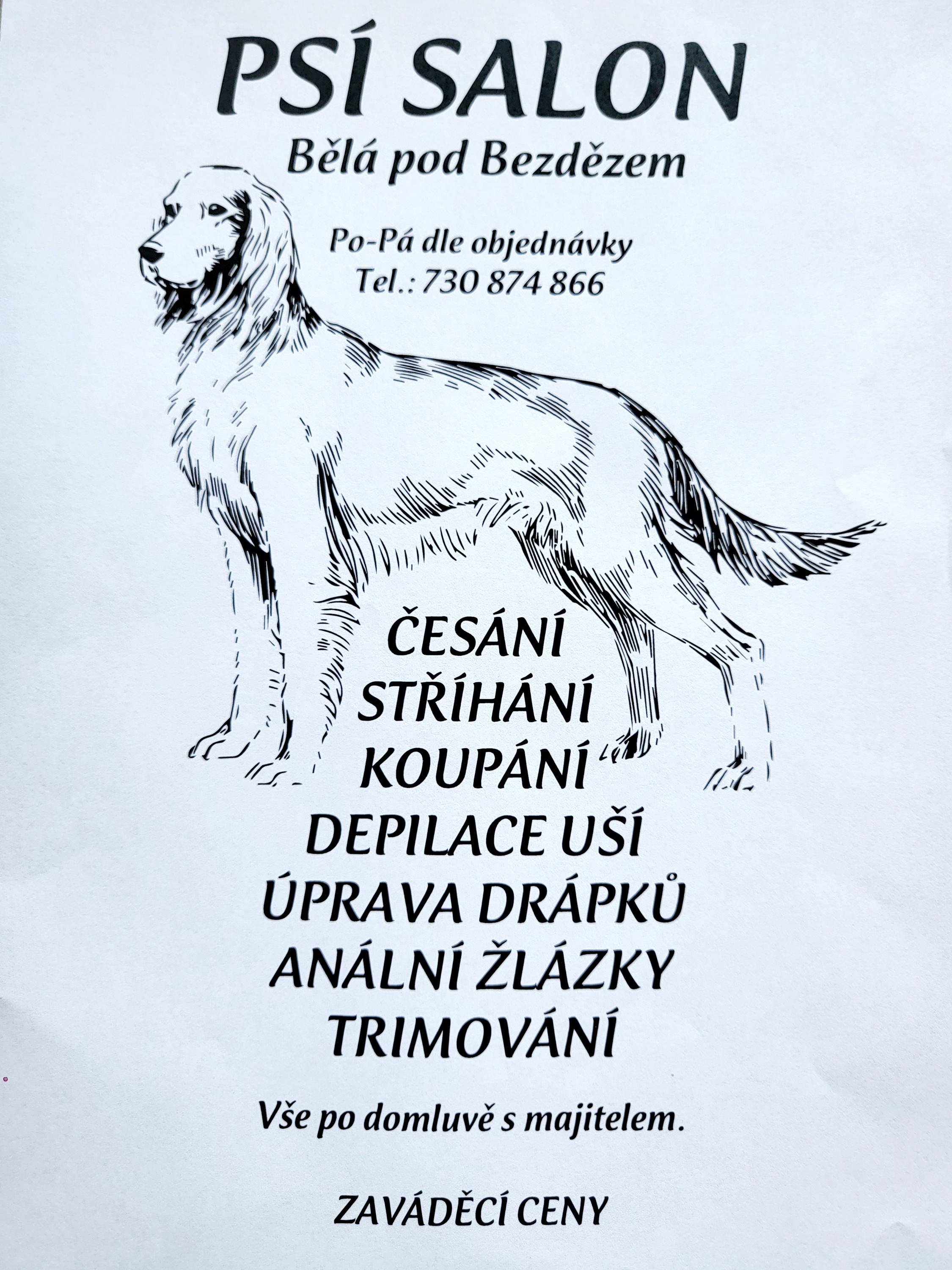 Psí salón Michaela Vele foto 2