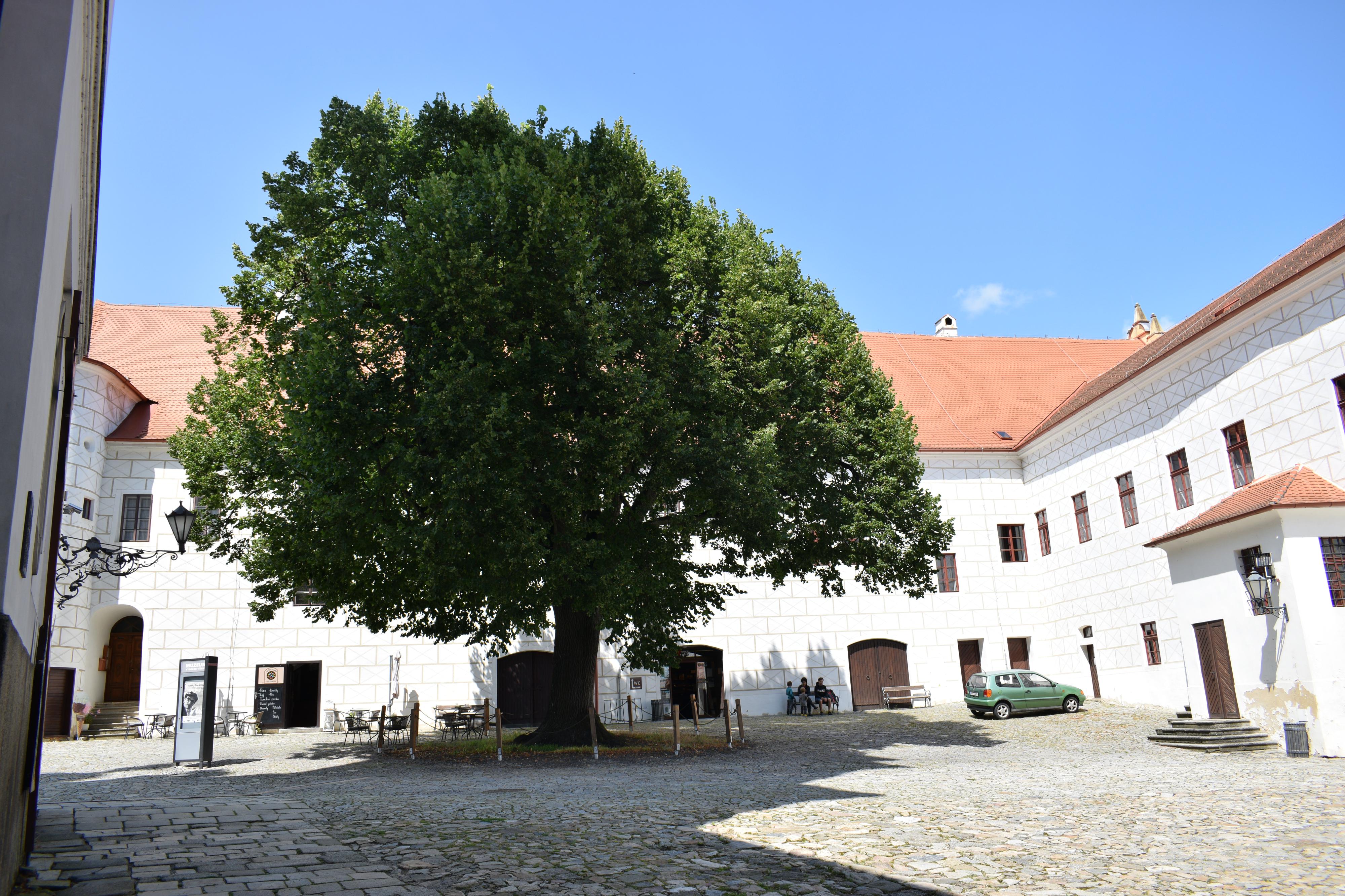 Cesty časem foto 5