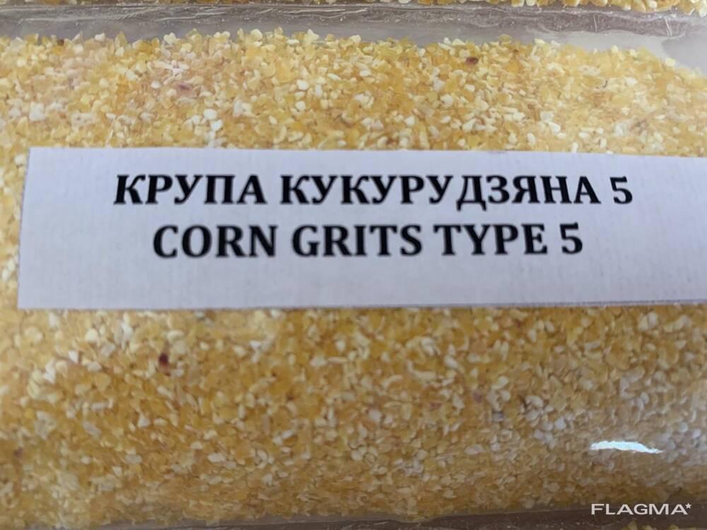 Frescho Group Czechy s.r.o. foto 6