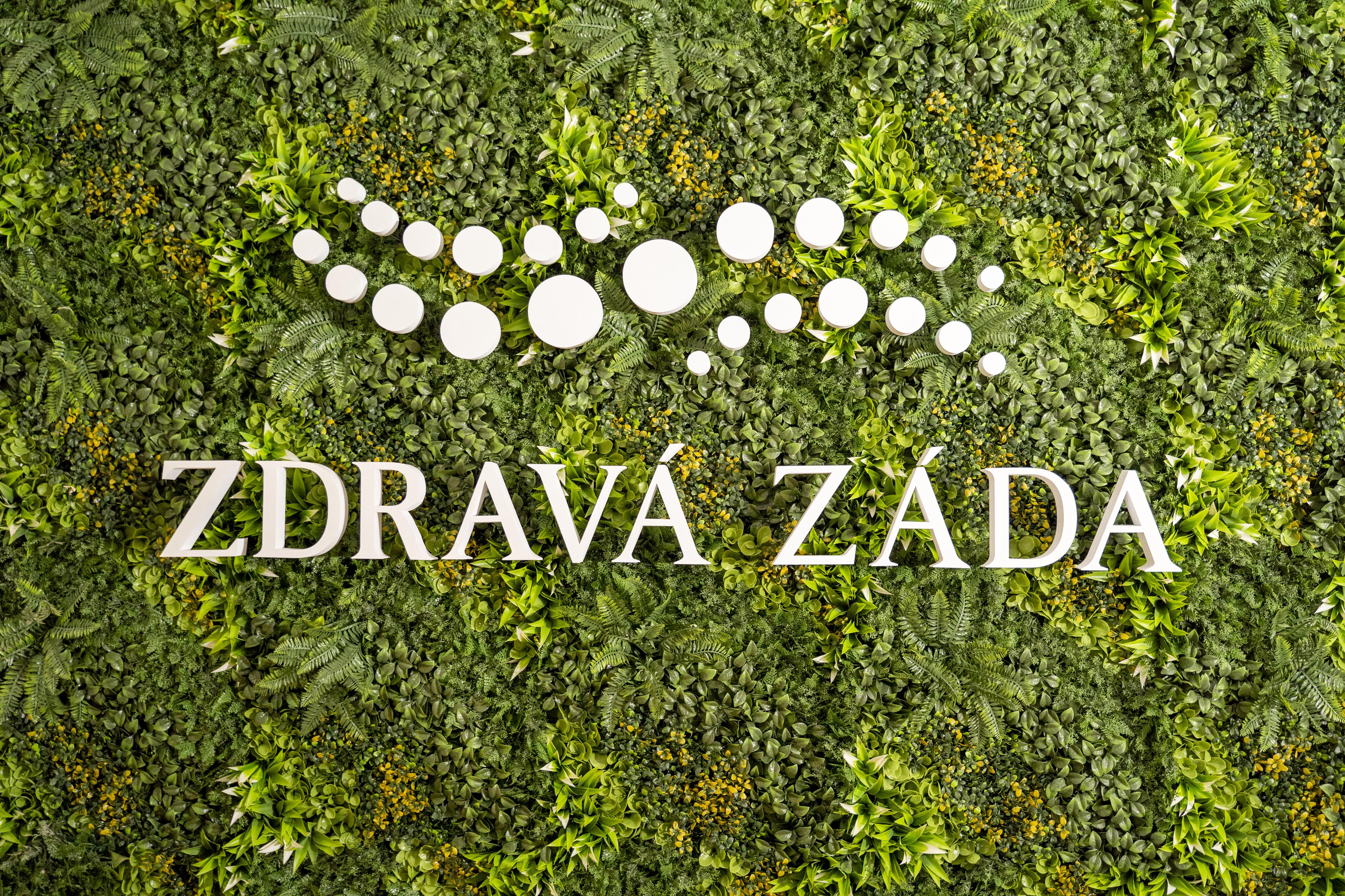 Zdravá Záda - Masáže Pardubice foto 2