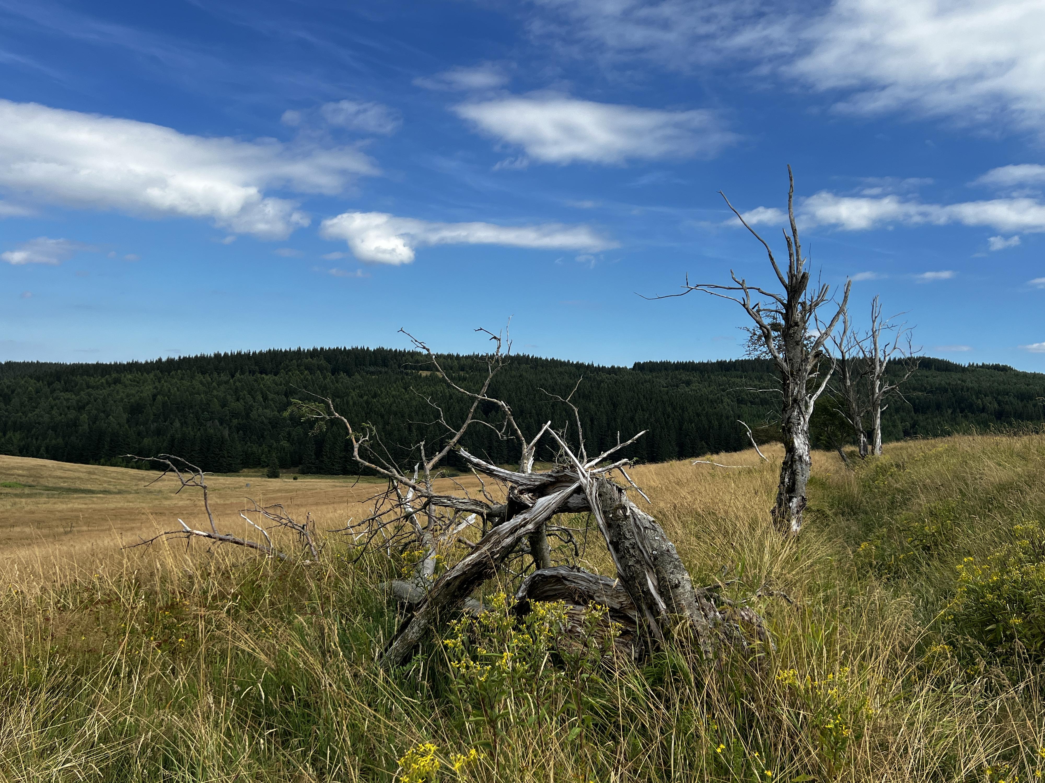 Autoservis Poliščuk foto 2
