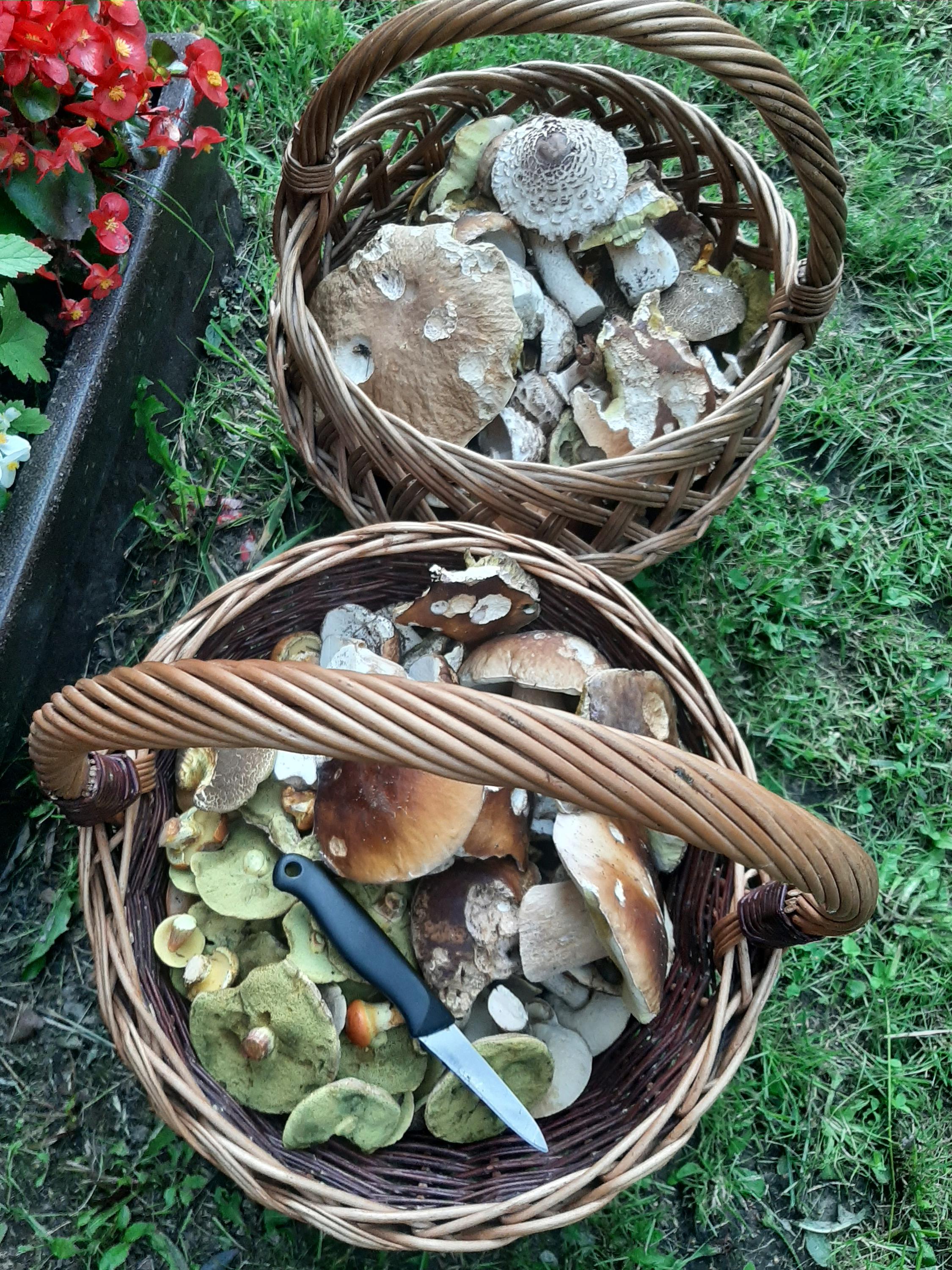 Chata U slepé kočky foto 3