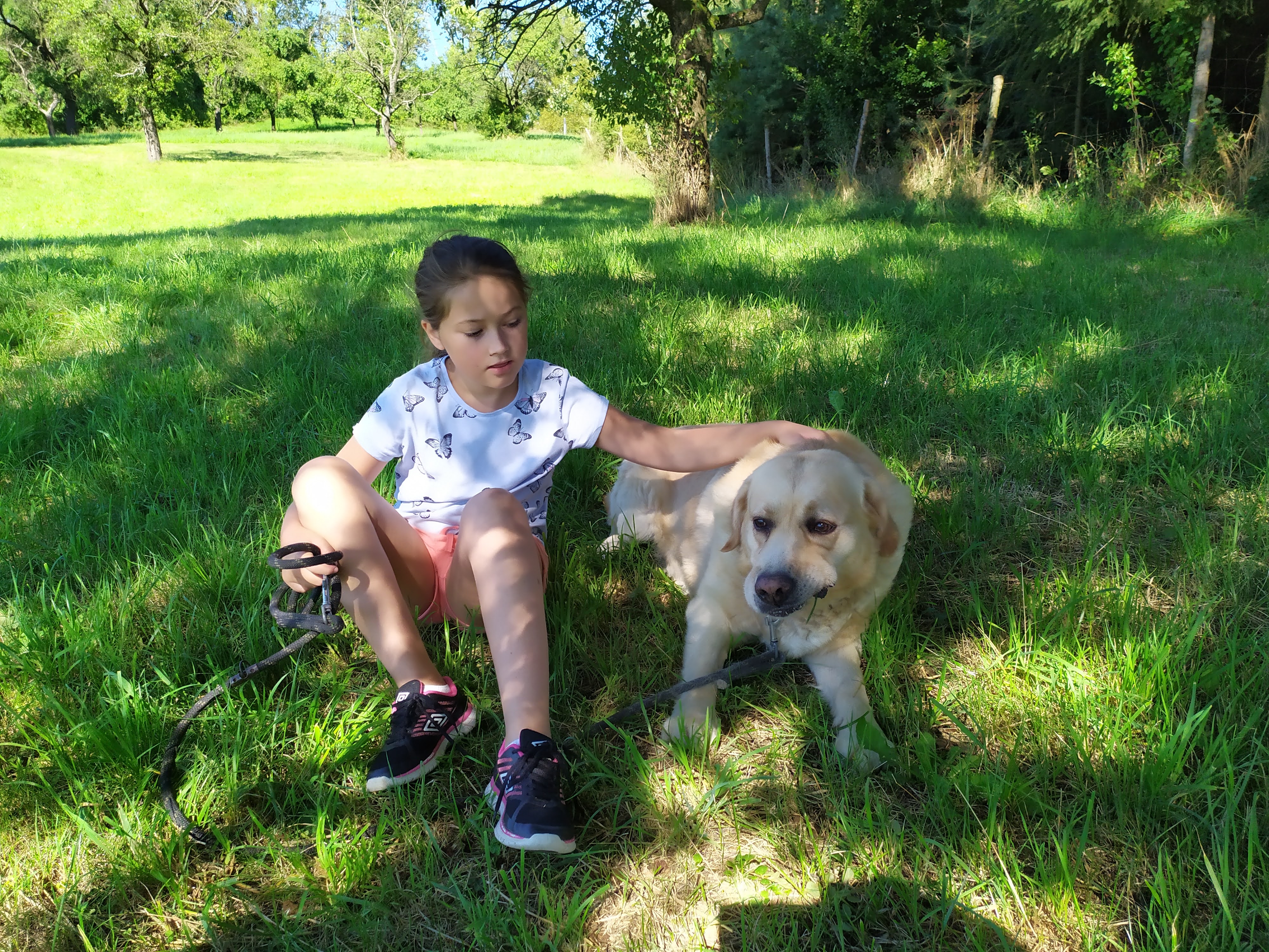 Psí domov Lukavice foto 4