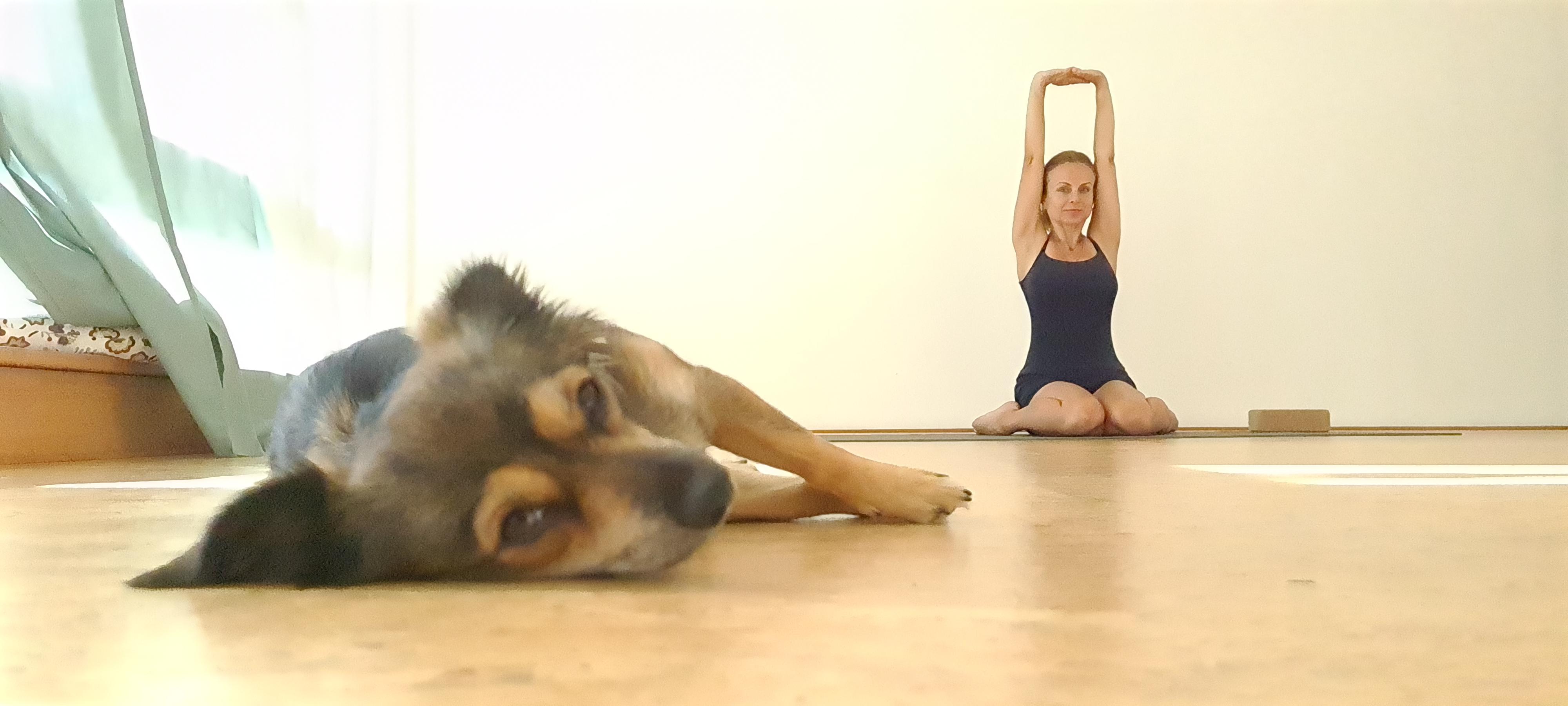 ANAHATA JÓGA foto 6