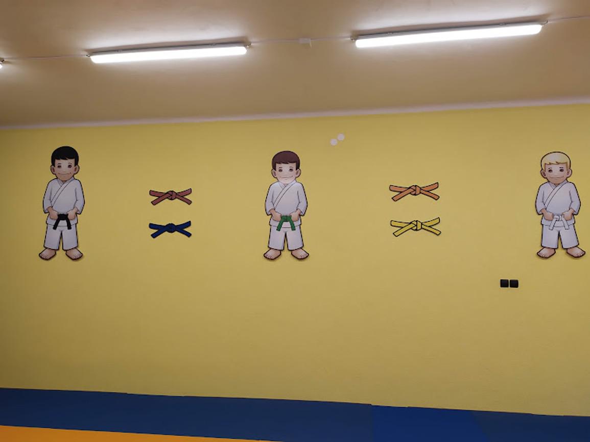 JUDO Český Těšín foto 3