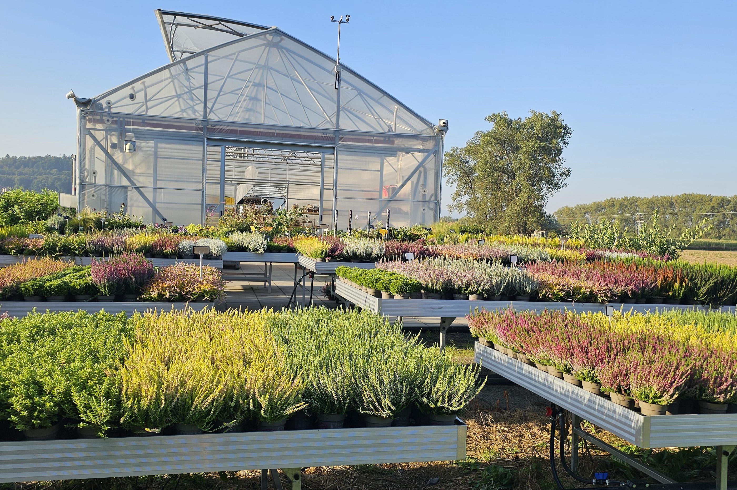 Zahradnictví a Jahodárna Pavel Bonk