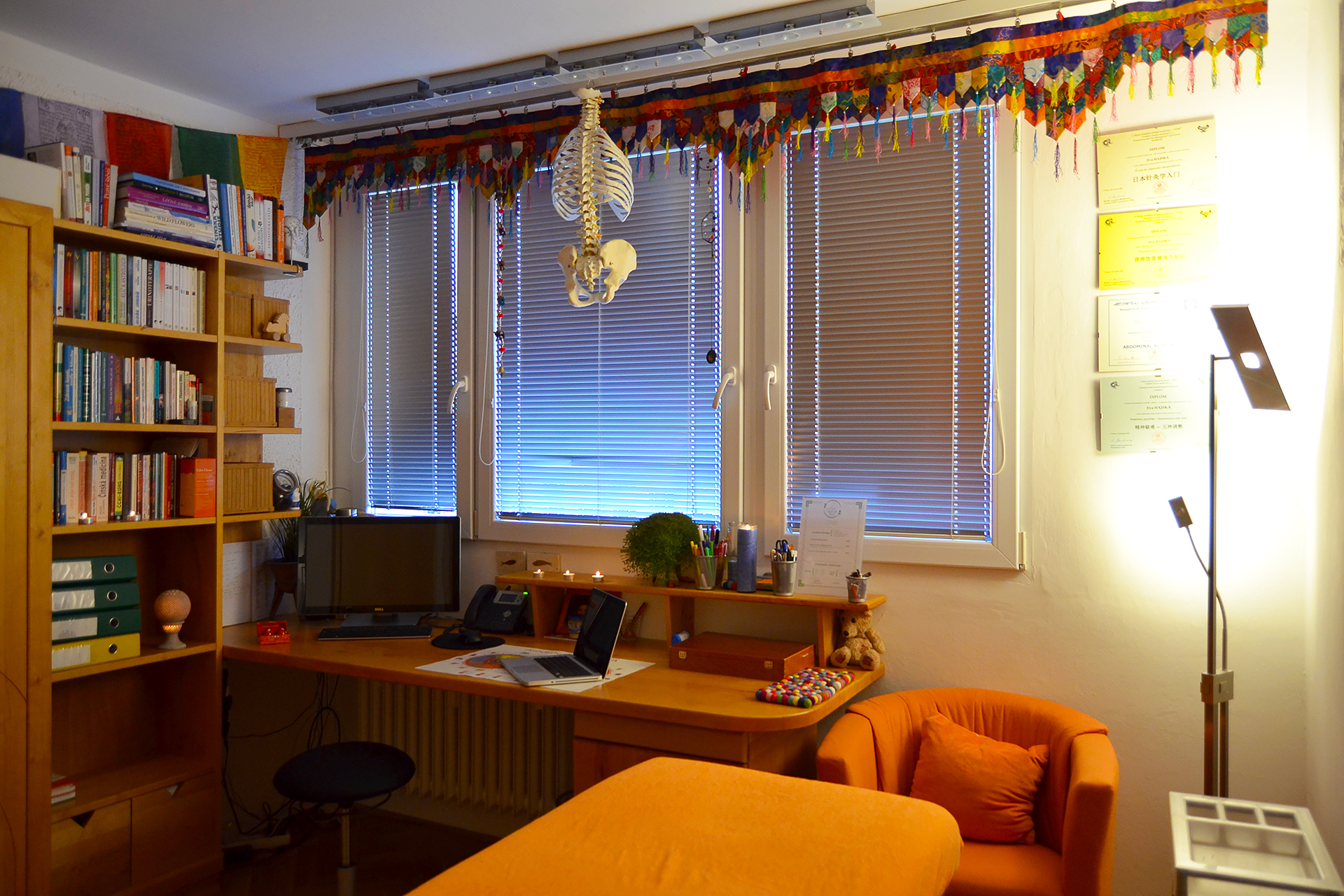 Celostní medicína - Eva Hajská