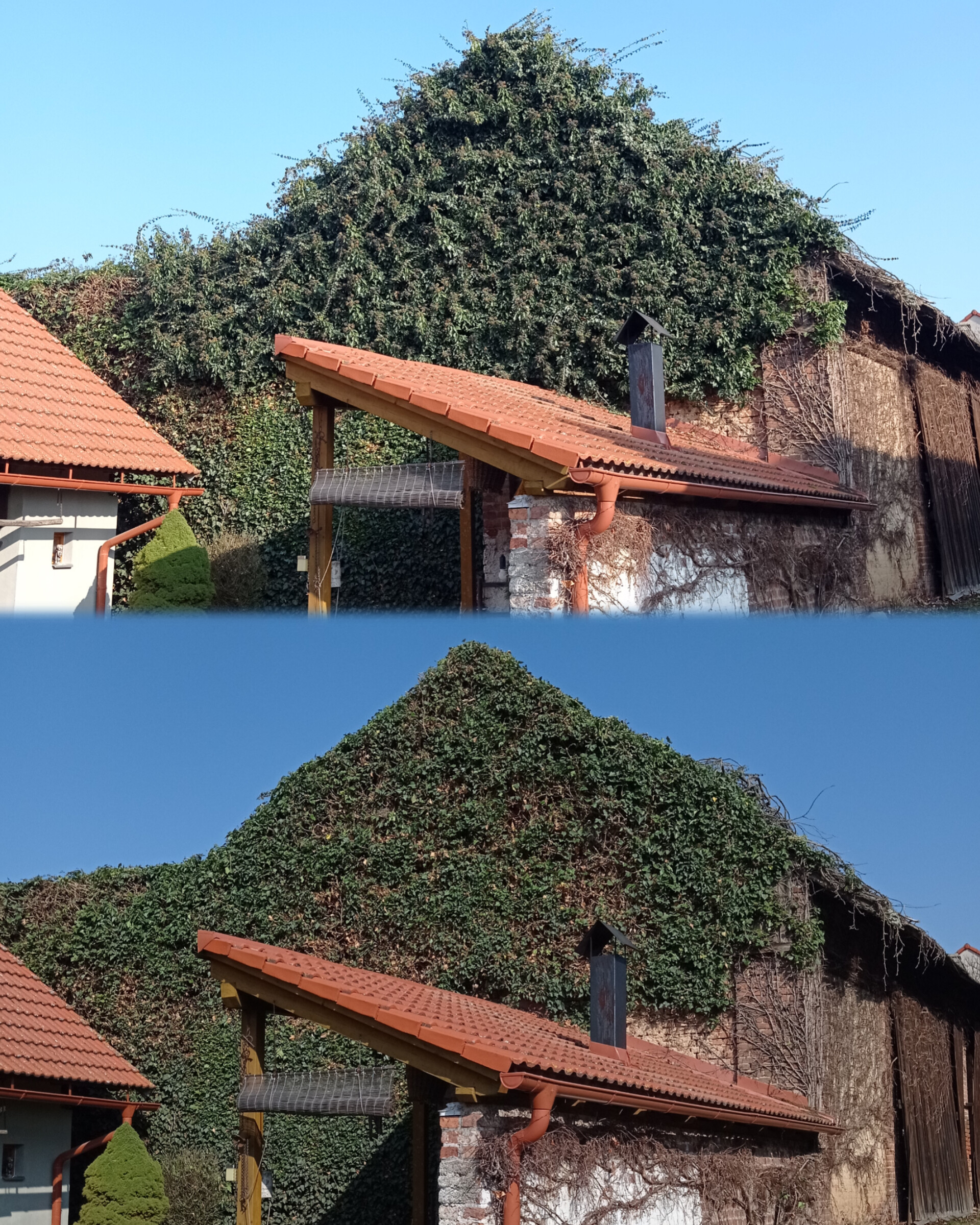 OKzeleň foto 6