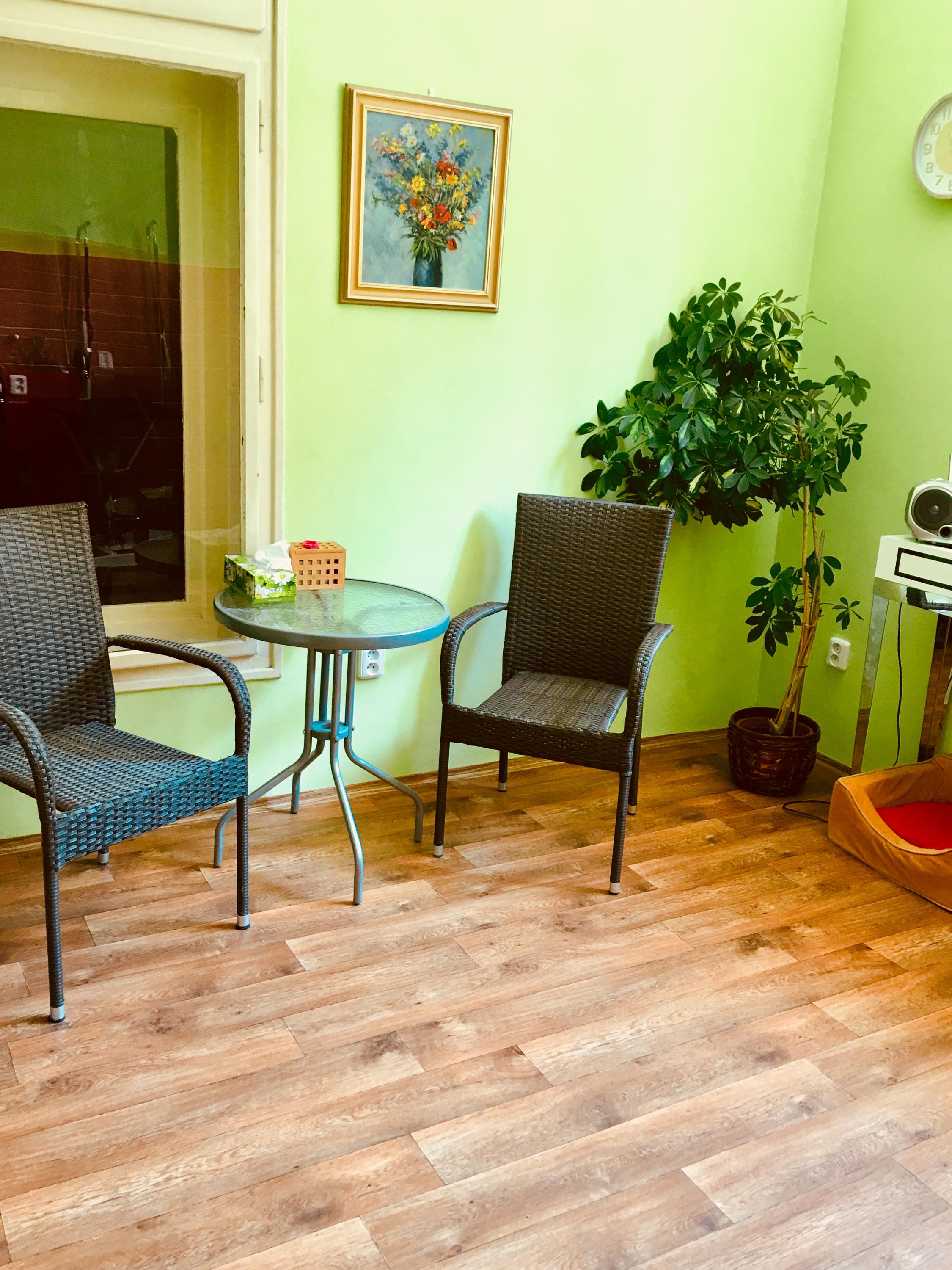 Psí salon Mazlíček foto 3