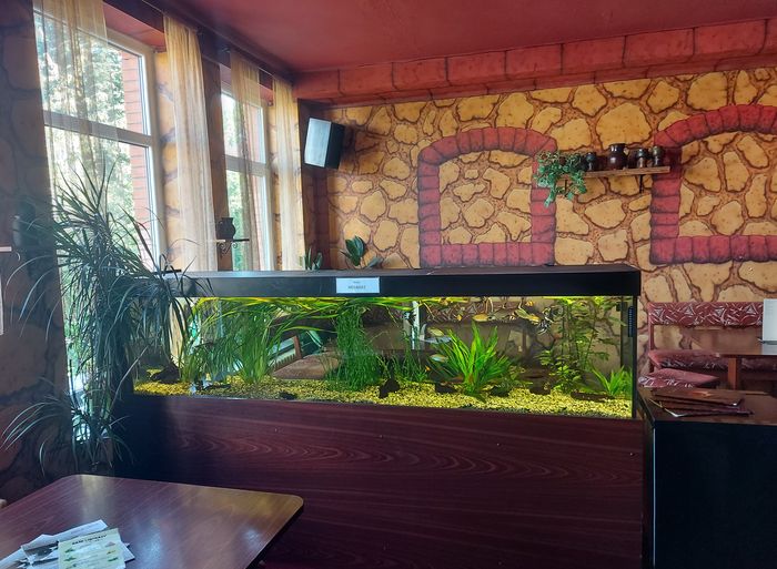 Bowling centrum a pizzerie Rozzano Jaroměř foto 6