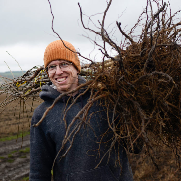 Ovocná školka - Potulný sadař Dominik Grohmann foto 2