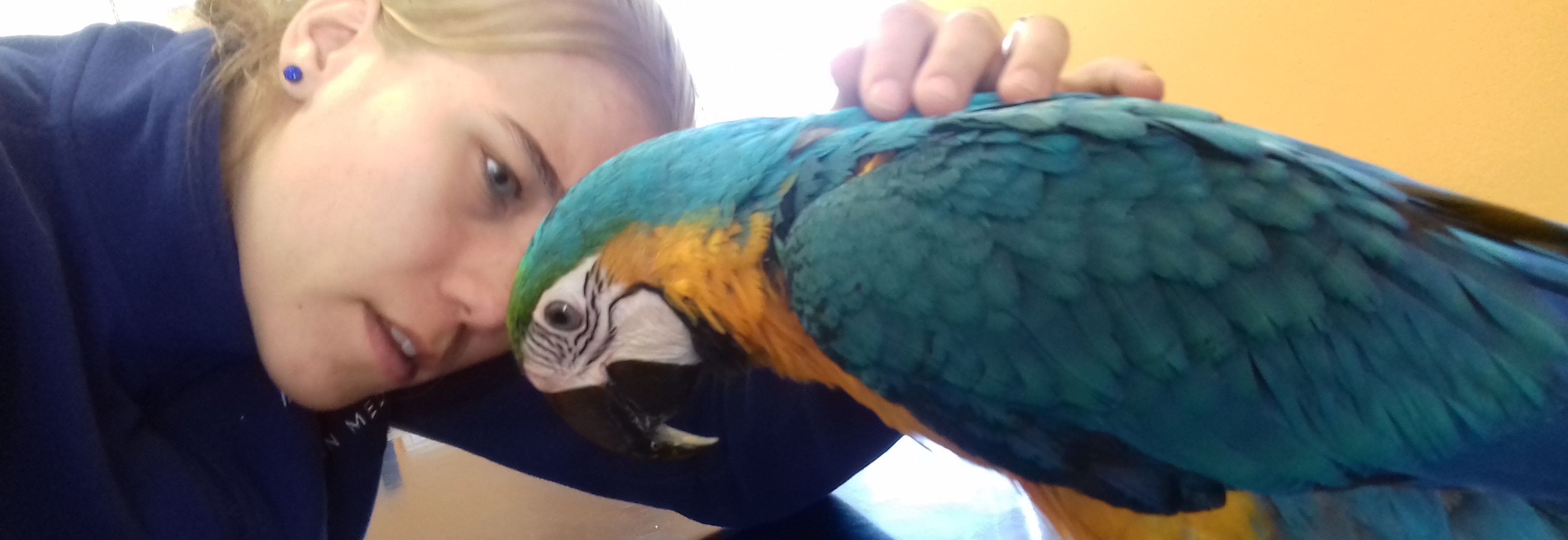 Avianmed foto 5