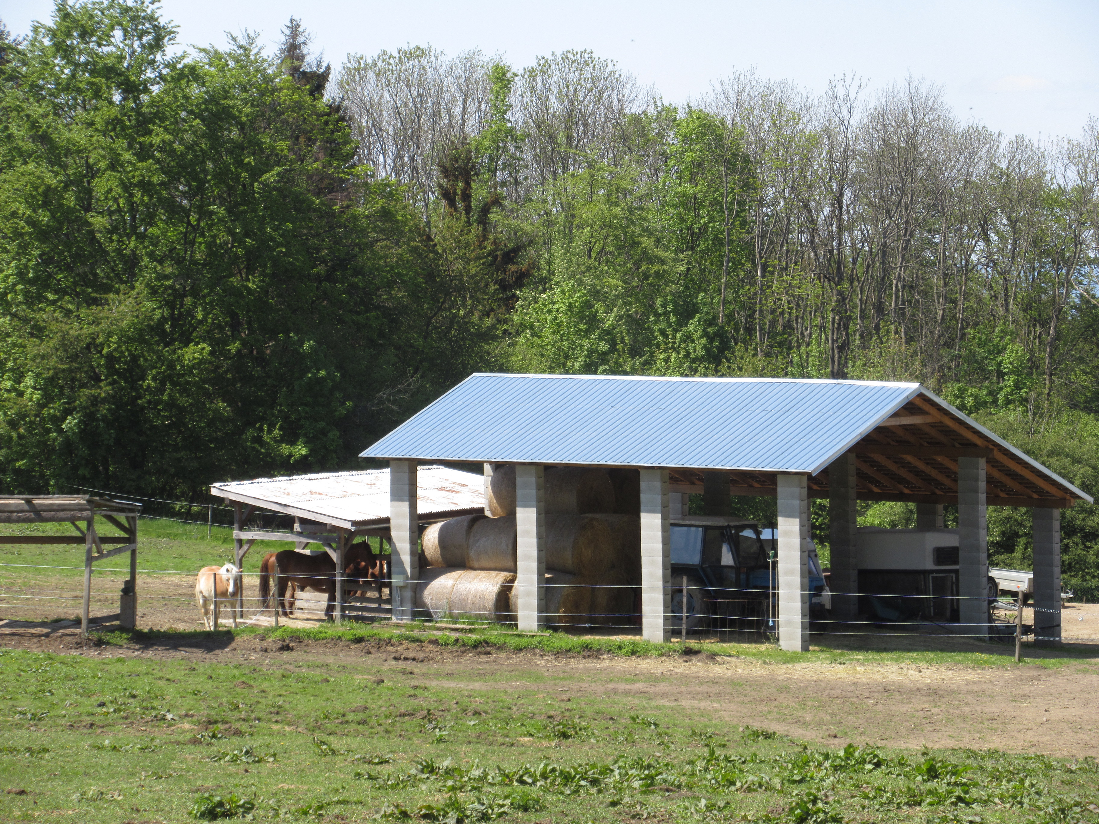 Black Rock Ranch foto 3