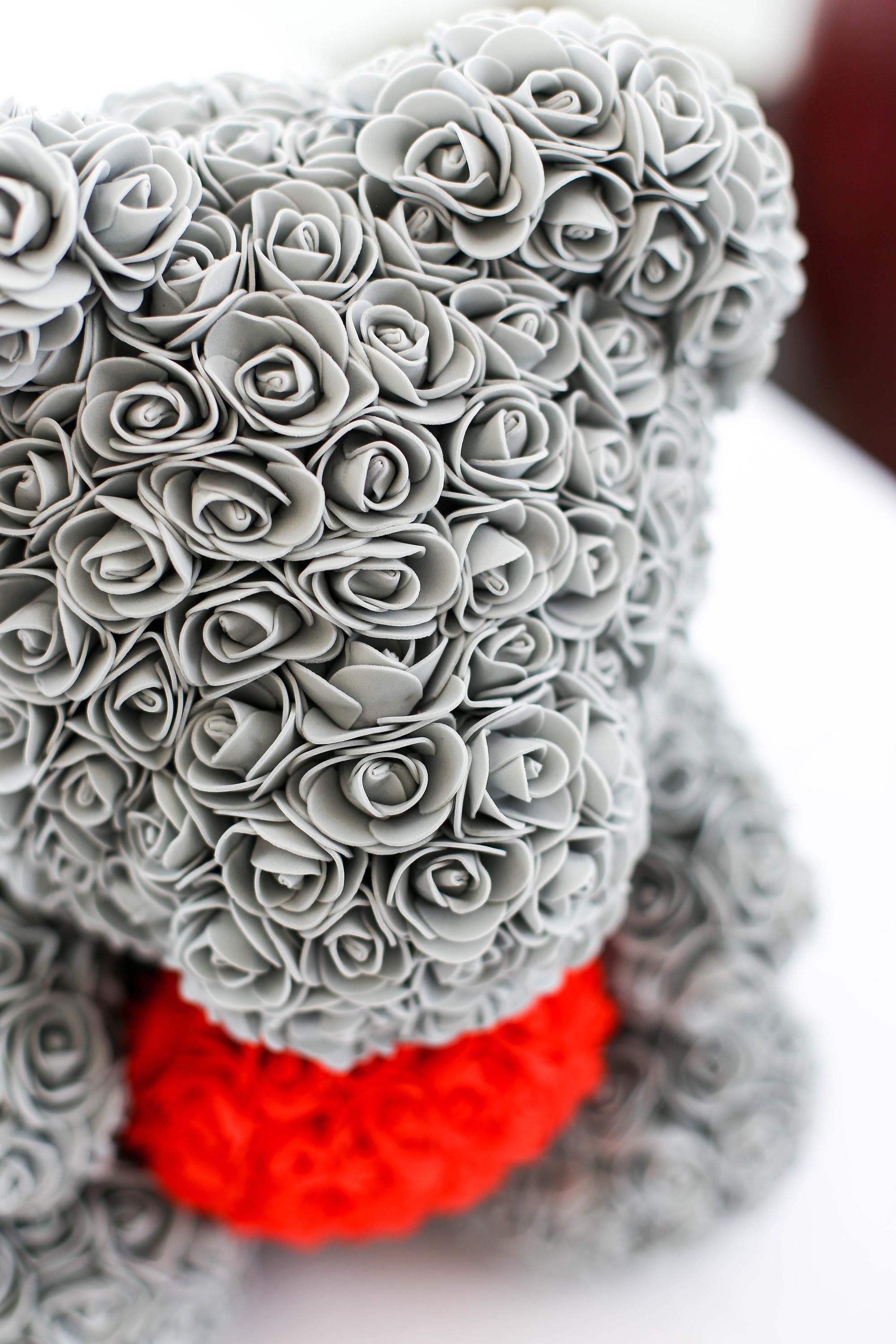 Rosebear.cz foto 2
