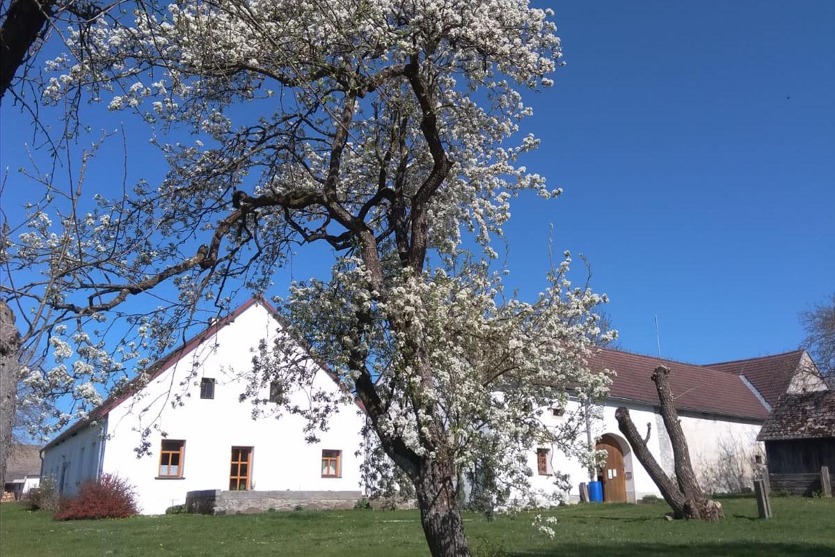 Apartmán Špejchar a Vejminek Kačlehy foto 1