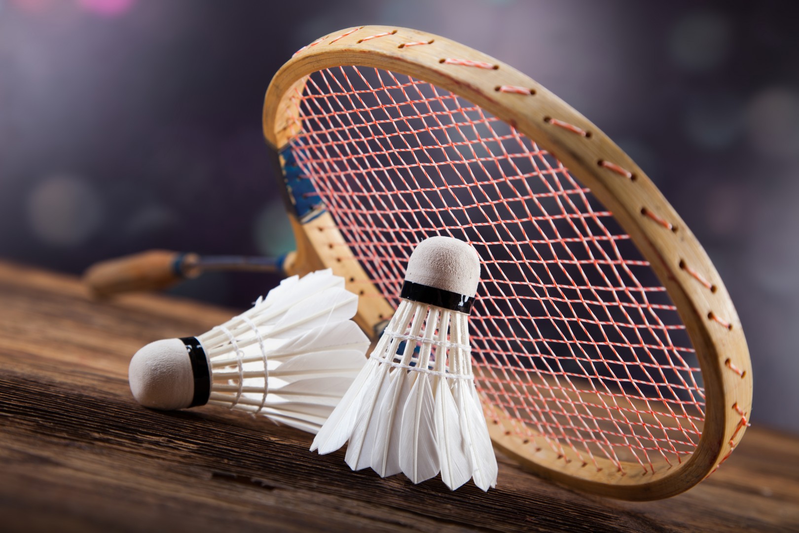 Sauna 365 - badminton foto 3
