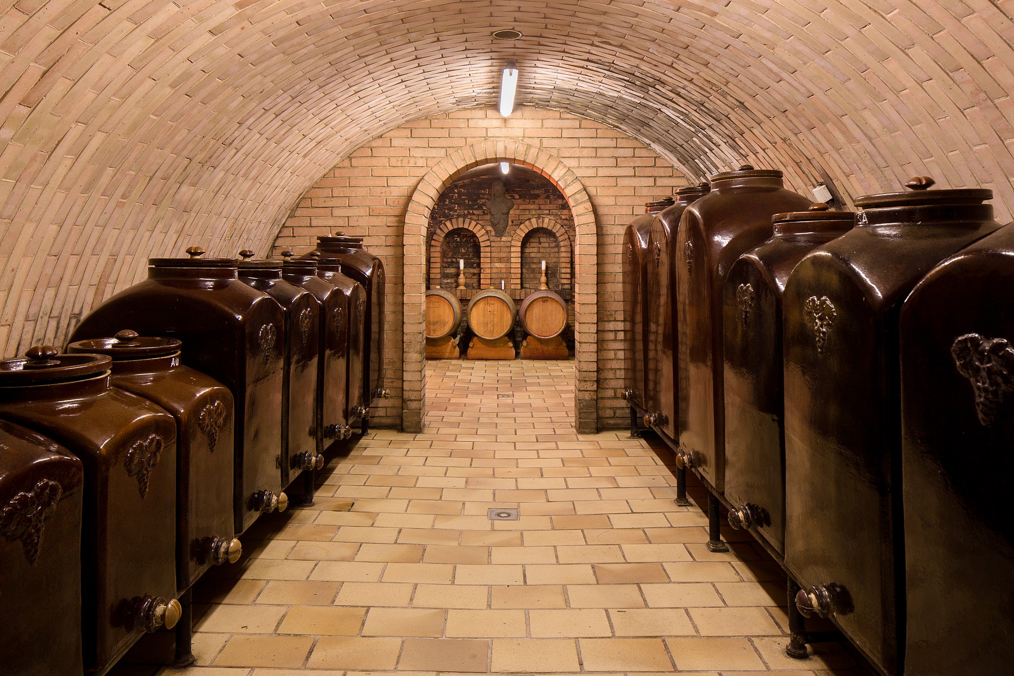 Rodinné vinařství Buštík foto 4