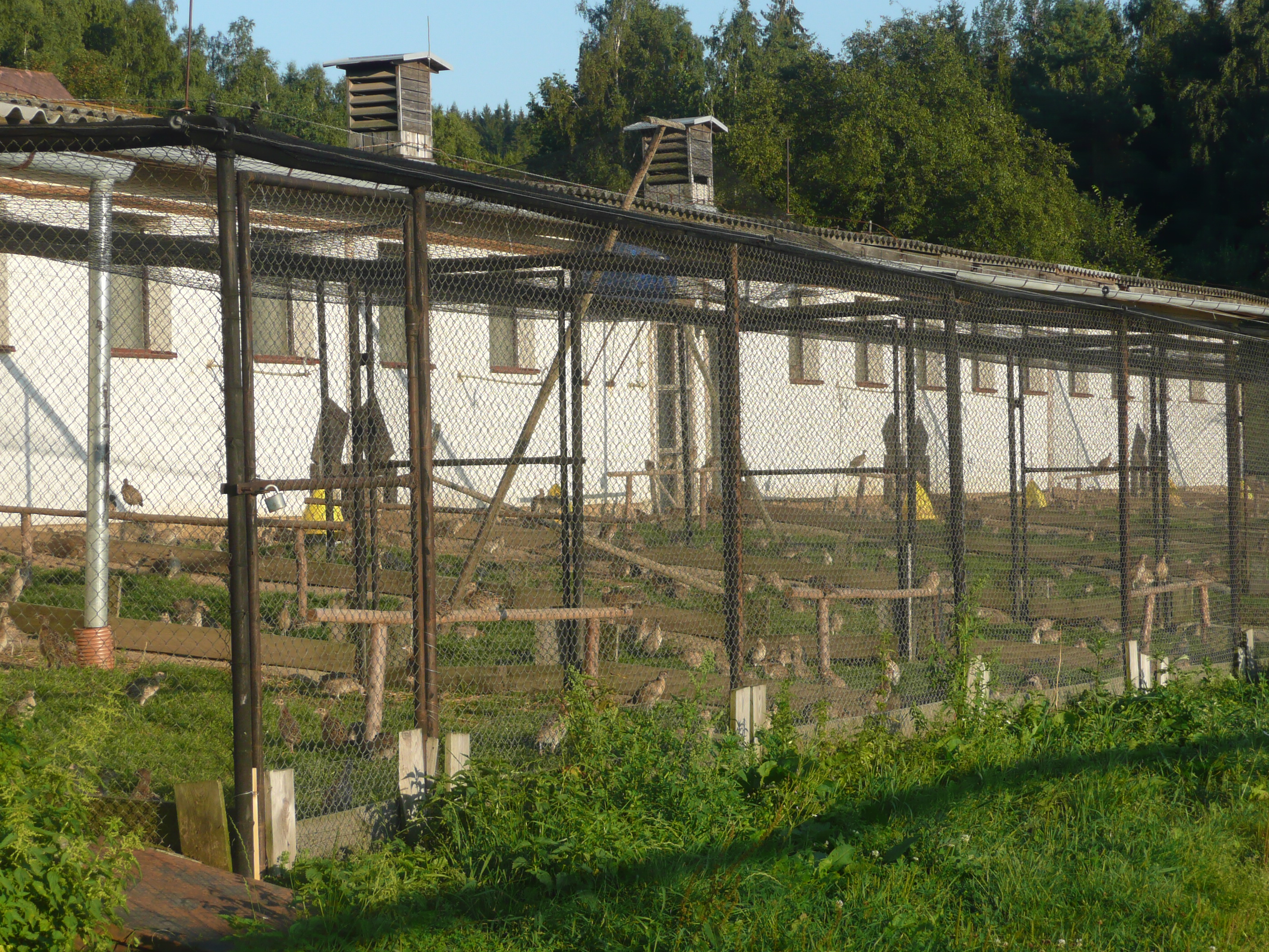 PROLOV s.r.o. - Bažantnice Pohoří foto 2