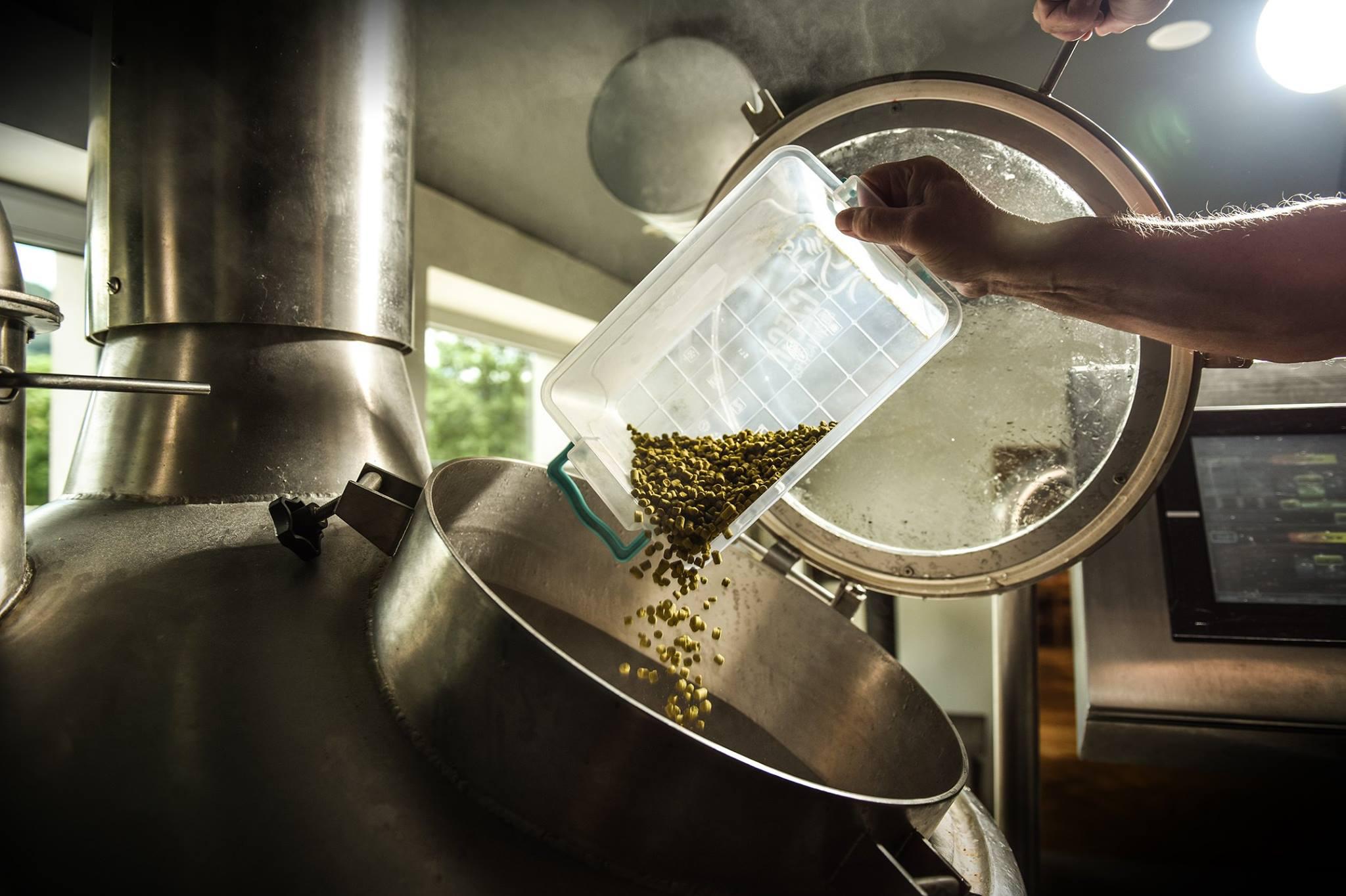 Restaurace pod Pantheonem - Maloskalský Pivovar foto 2